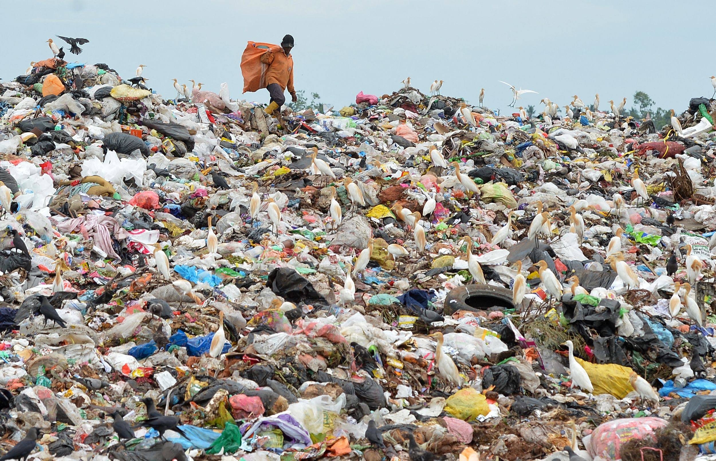 A worker sorts plastic waste on the outskirts of Sri Lanka’s capital Colombo. Photo: AFP