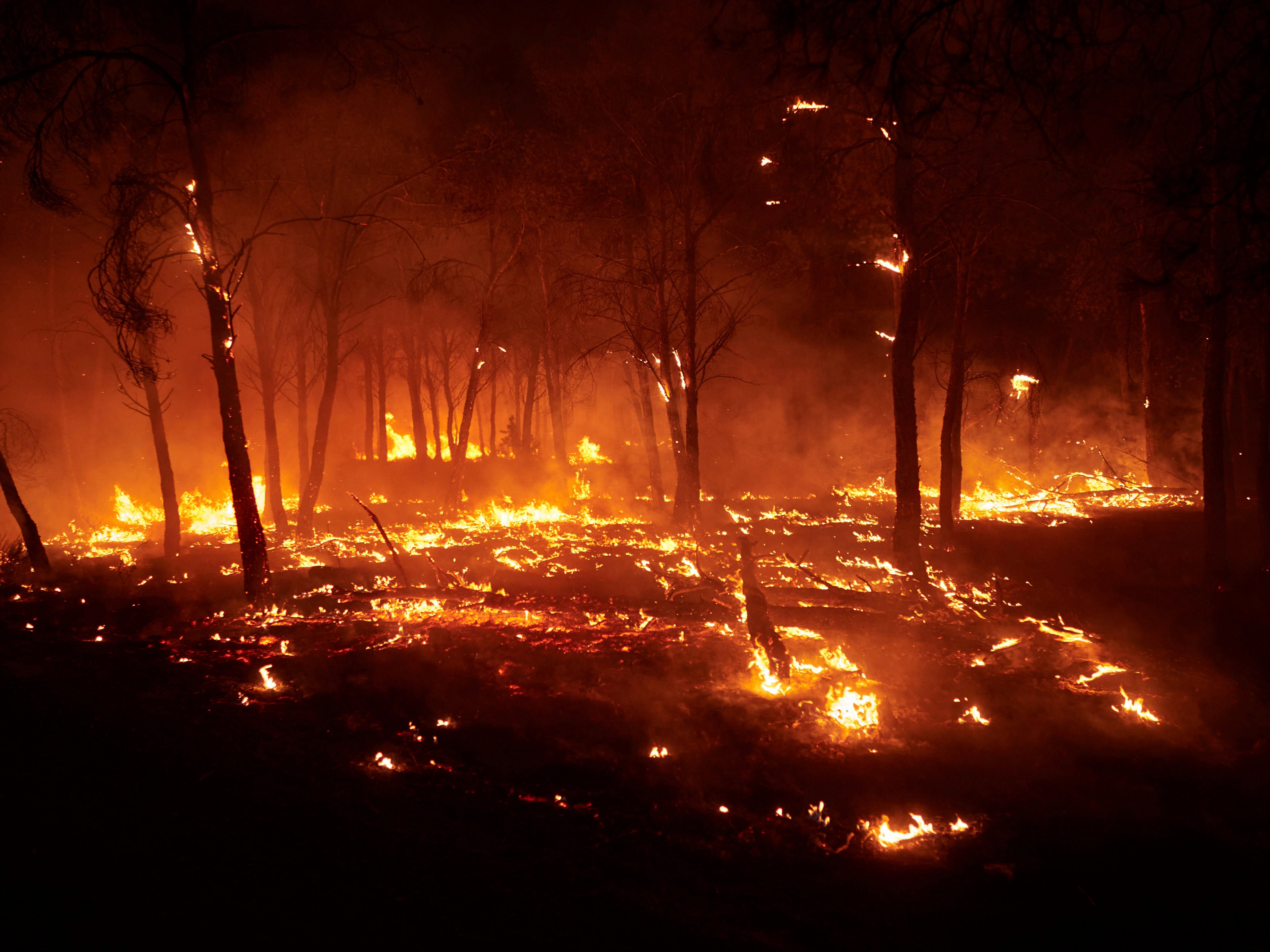 Burning trees are pictured during a wildfire in Carcastillo, northern Spain on Sunday. Photo: AP