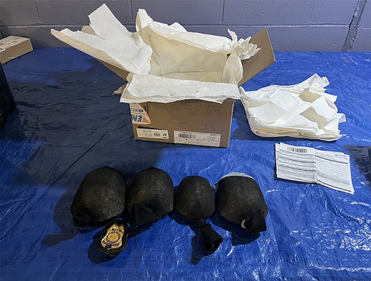 Eastern box turtles intercepted during a border inspection. A Chinese man pleaded guilty to trying to smuggle protected turtles from the US to Hong Kong. Photo: United States Fish and Wildlife Service / AFP / Handout