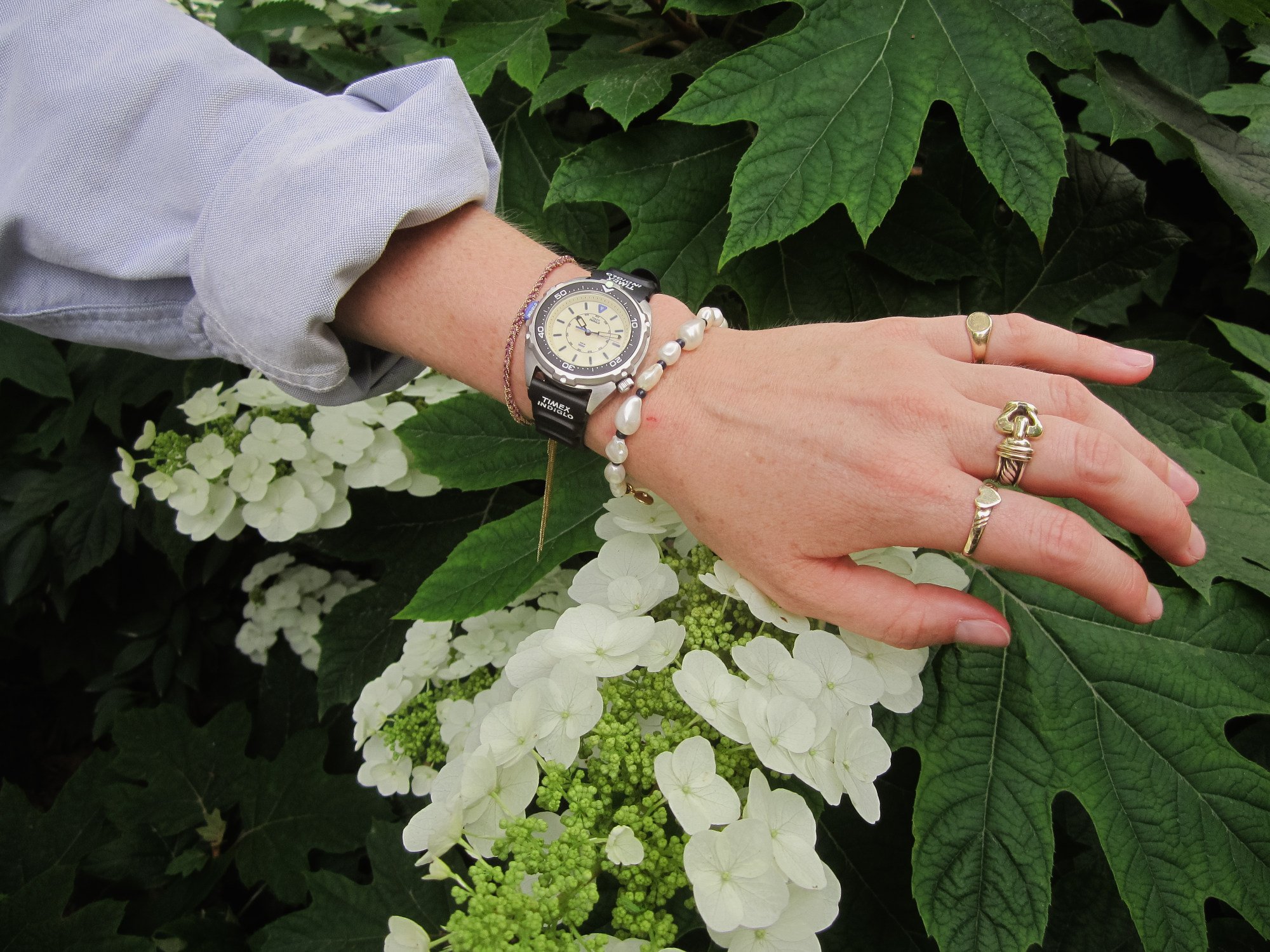 ✨Cartier mini plate 龍　Dragon✨ ✨Cartier mini plate 龍 Dragon✨ cartierdragonwatch-h_1_1_460x@