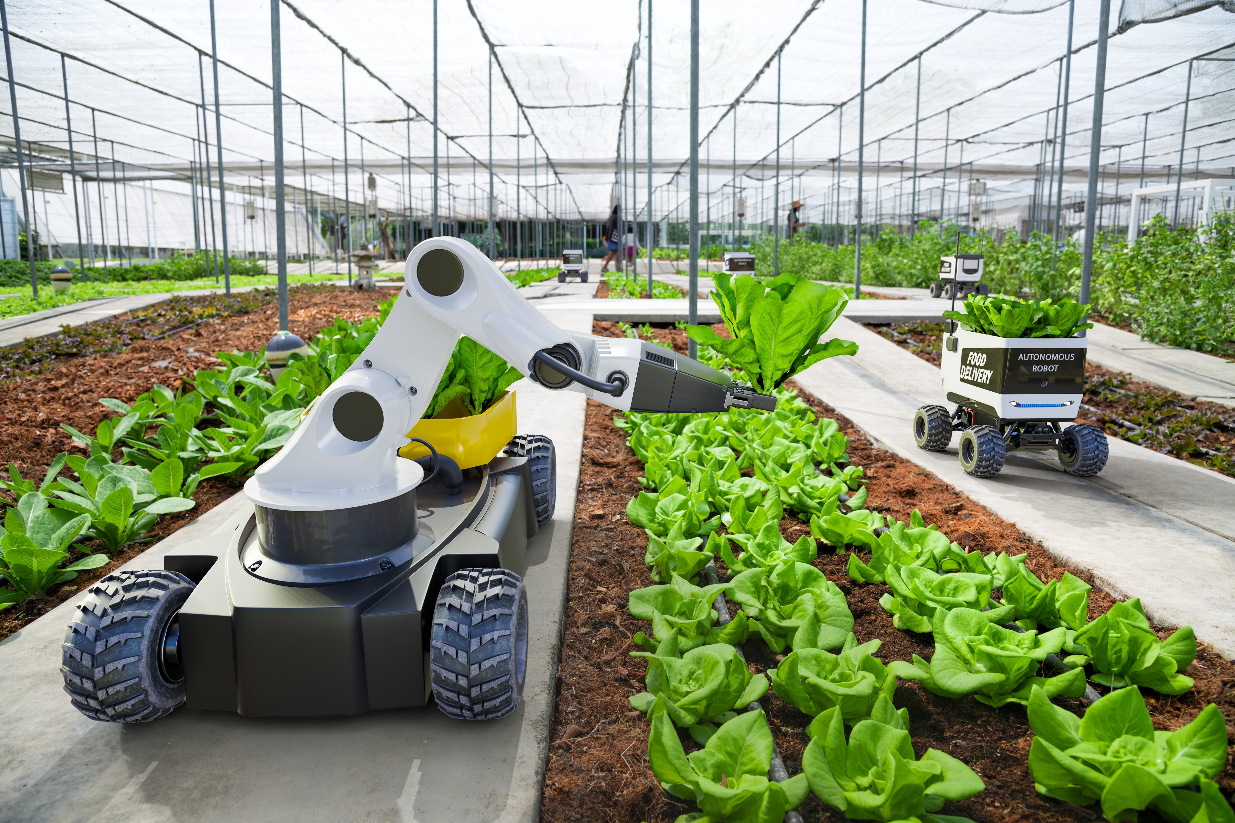 Chinese scientists have been able to boost hybrid crop development speed in a robotic breeding factory. Photo: Shutterstock Images
