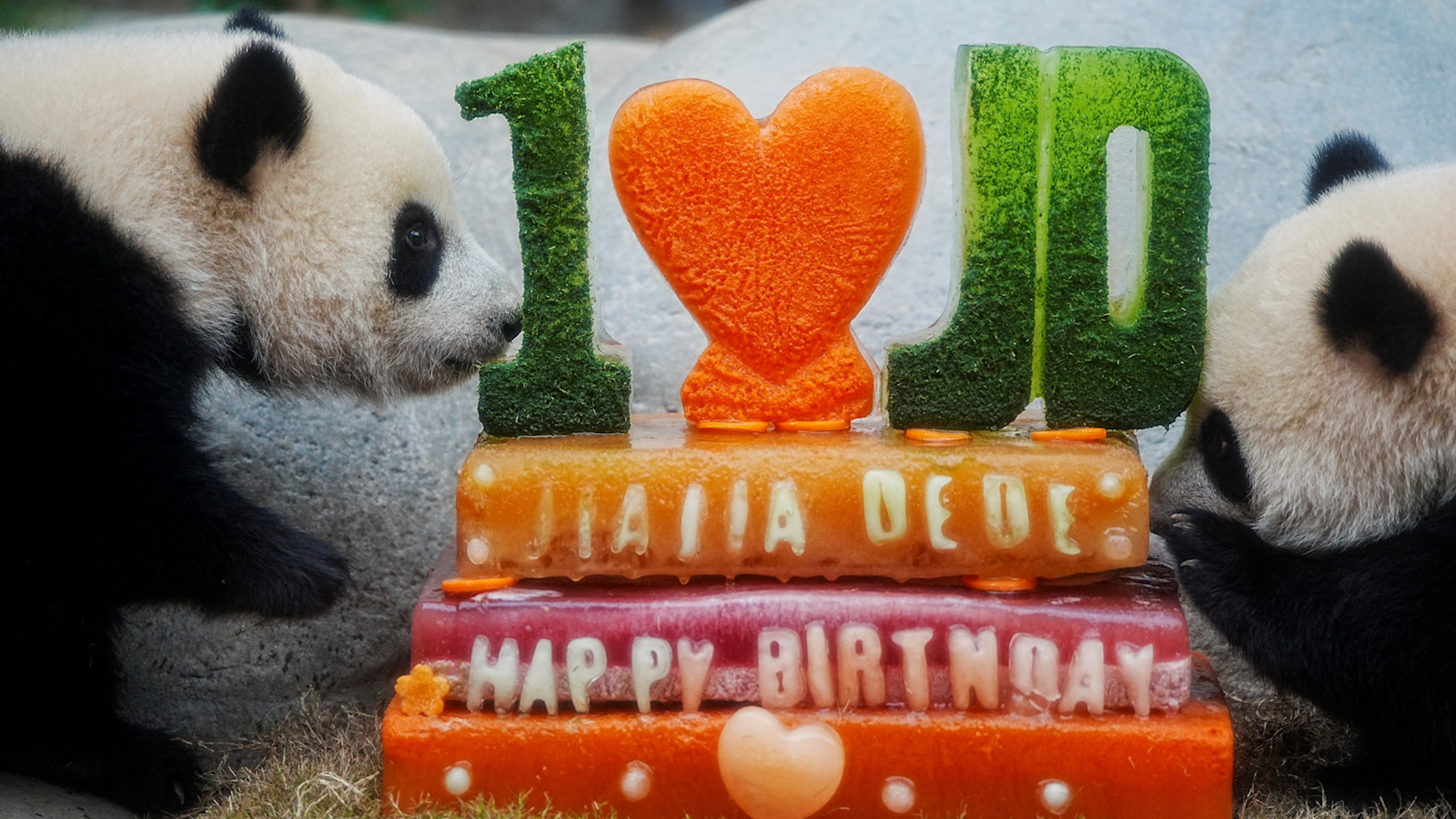 cake