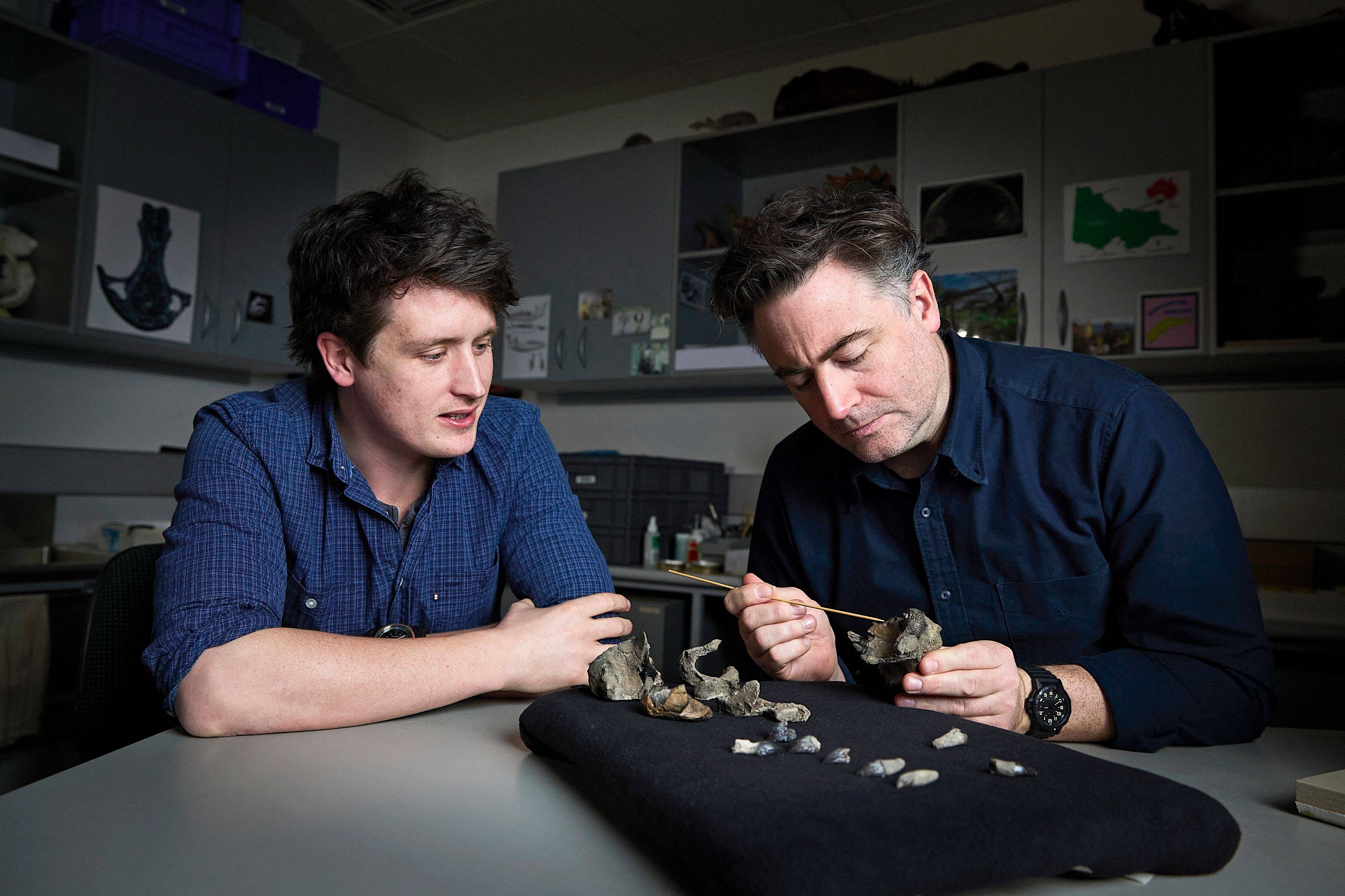 Museums Victoria researcher Ruairidh Duncan (left) and palaeontologist Erich Fitzgerald with the partial fossil skull and teeth of Janjucetus dullardi in Melbourne. Photo: AFP/Tom Breakwell/Museums Victoria