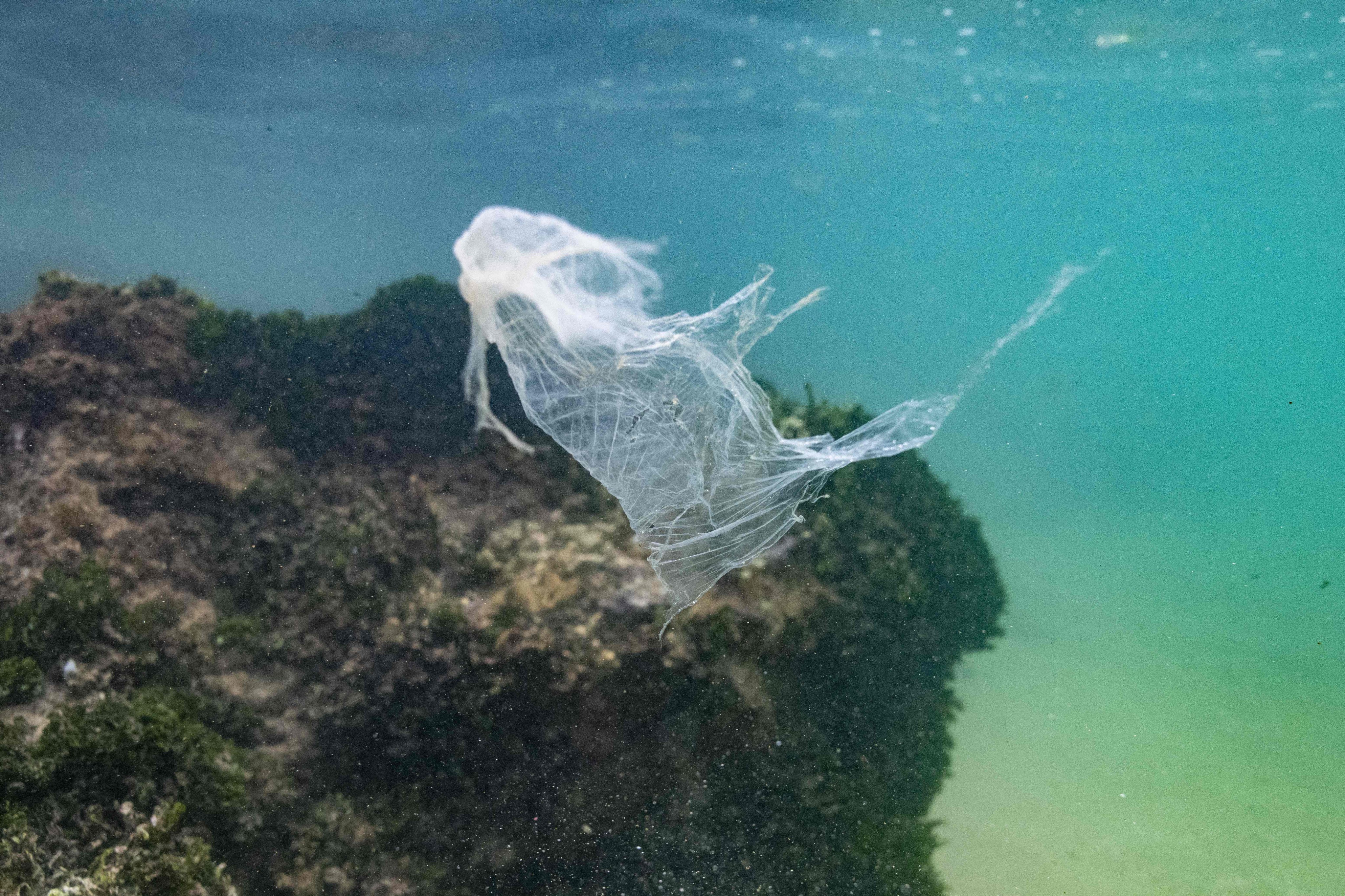 A plastic bag floats in the sea. Photo: AFP