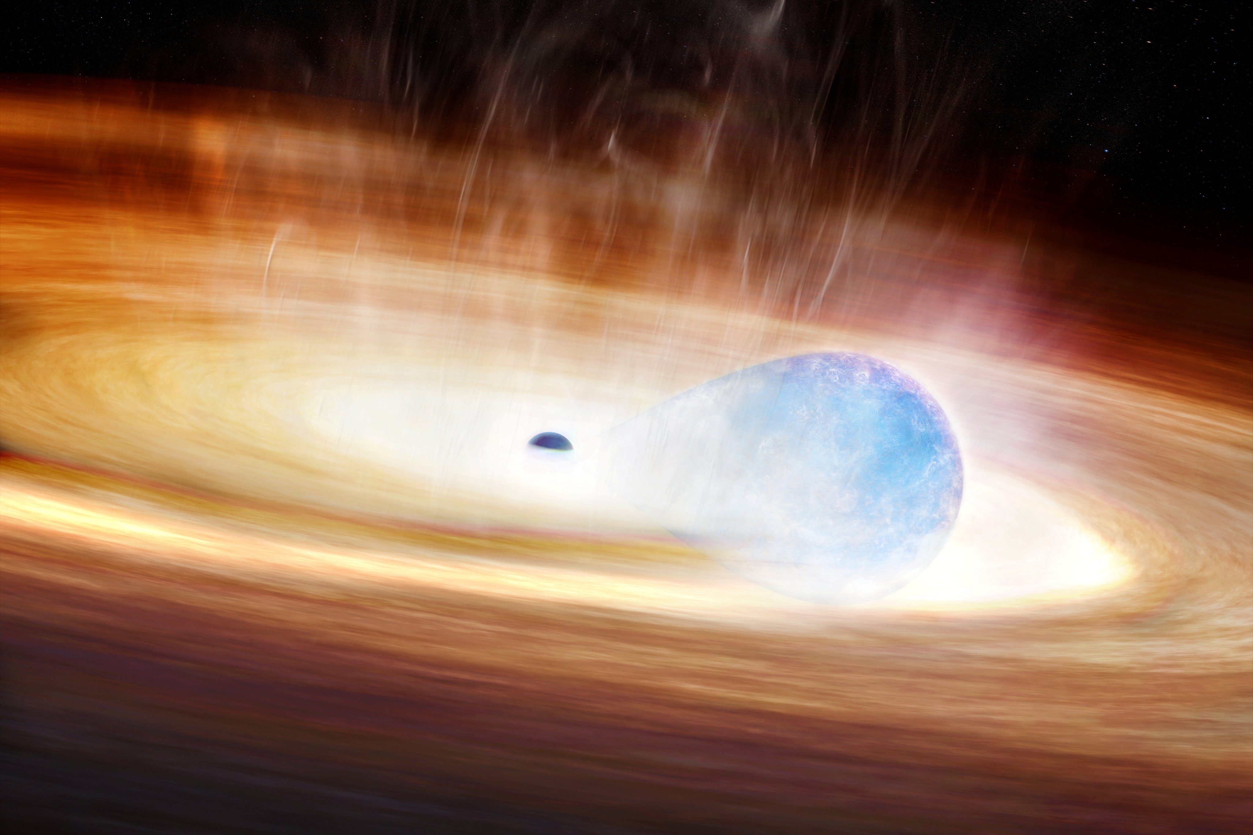 An artist’s conception shows a massive star being stretched by the gravitational forces of a nearby black hole before it explodes. Image: Melissa Weiss/Harvard-Smithsonian Centre for Astrophysics via Reuters