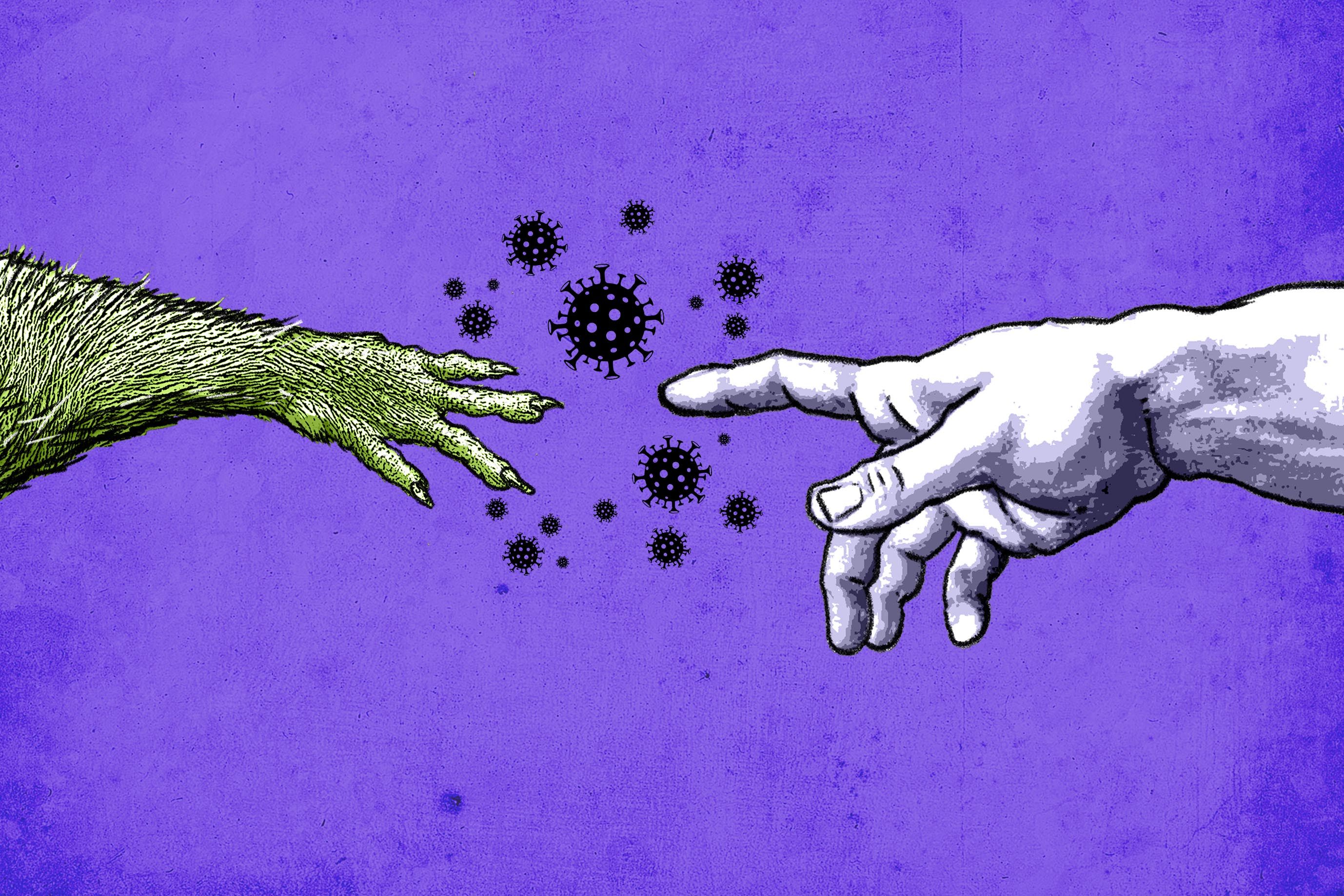 Illustration: Henry Wong