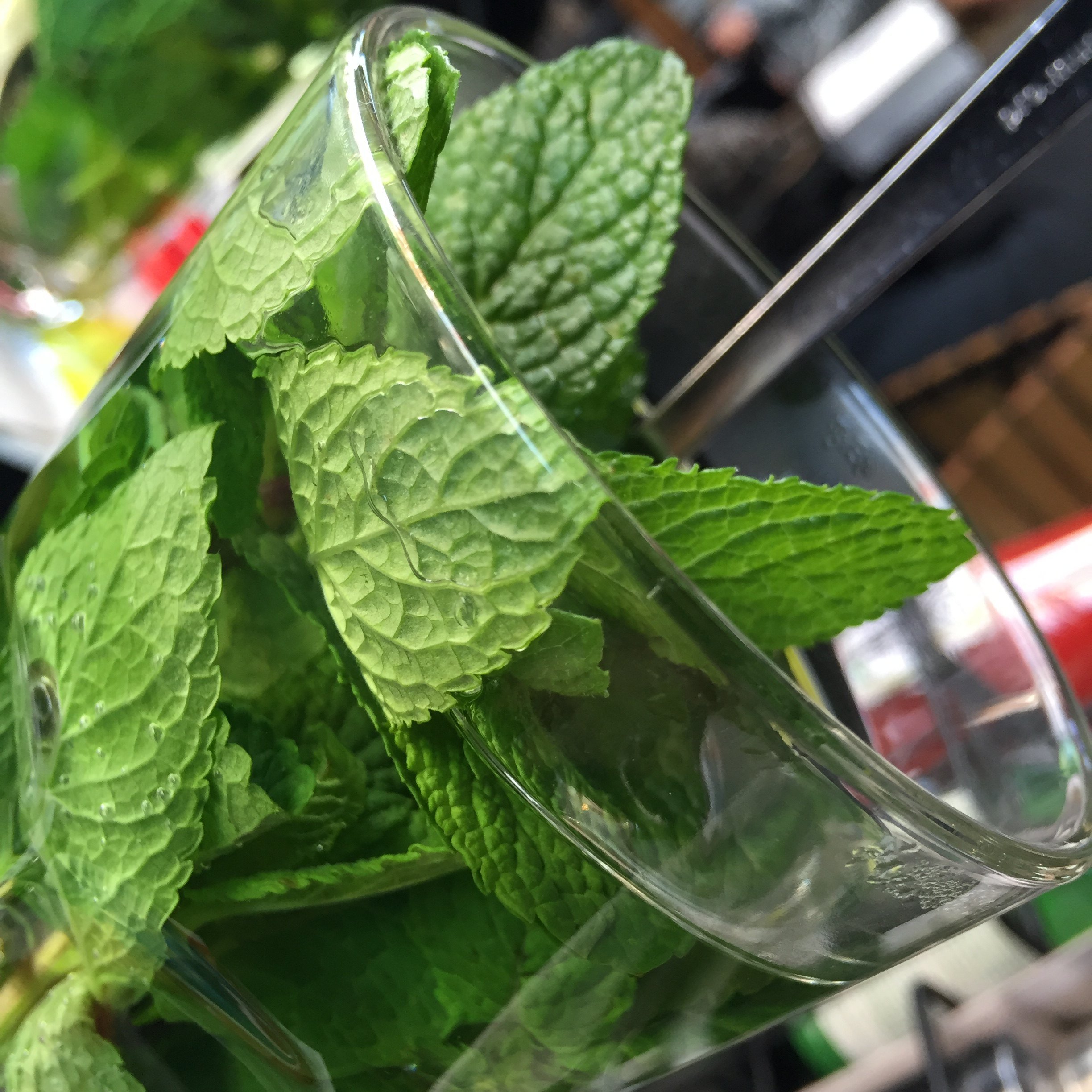 Mint comes in many varieties and features in dishes from South America to Europe. It is also a key ingredient in mint tea and mojitos. Photo: Heidi Yeung