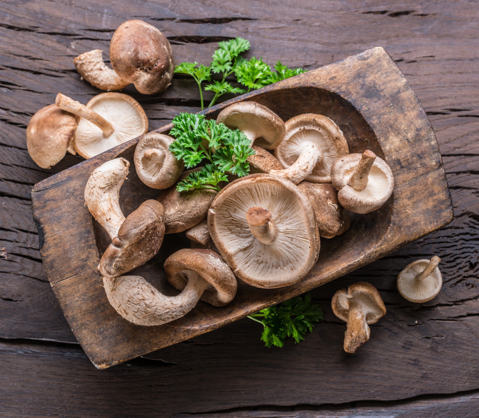 Shiitake mushrooms are a good source of copper. Photo: Shutterstock