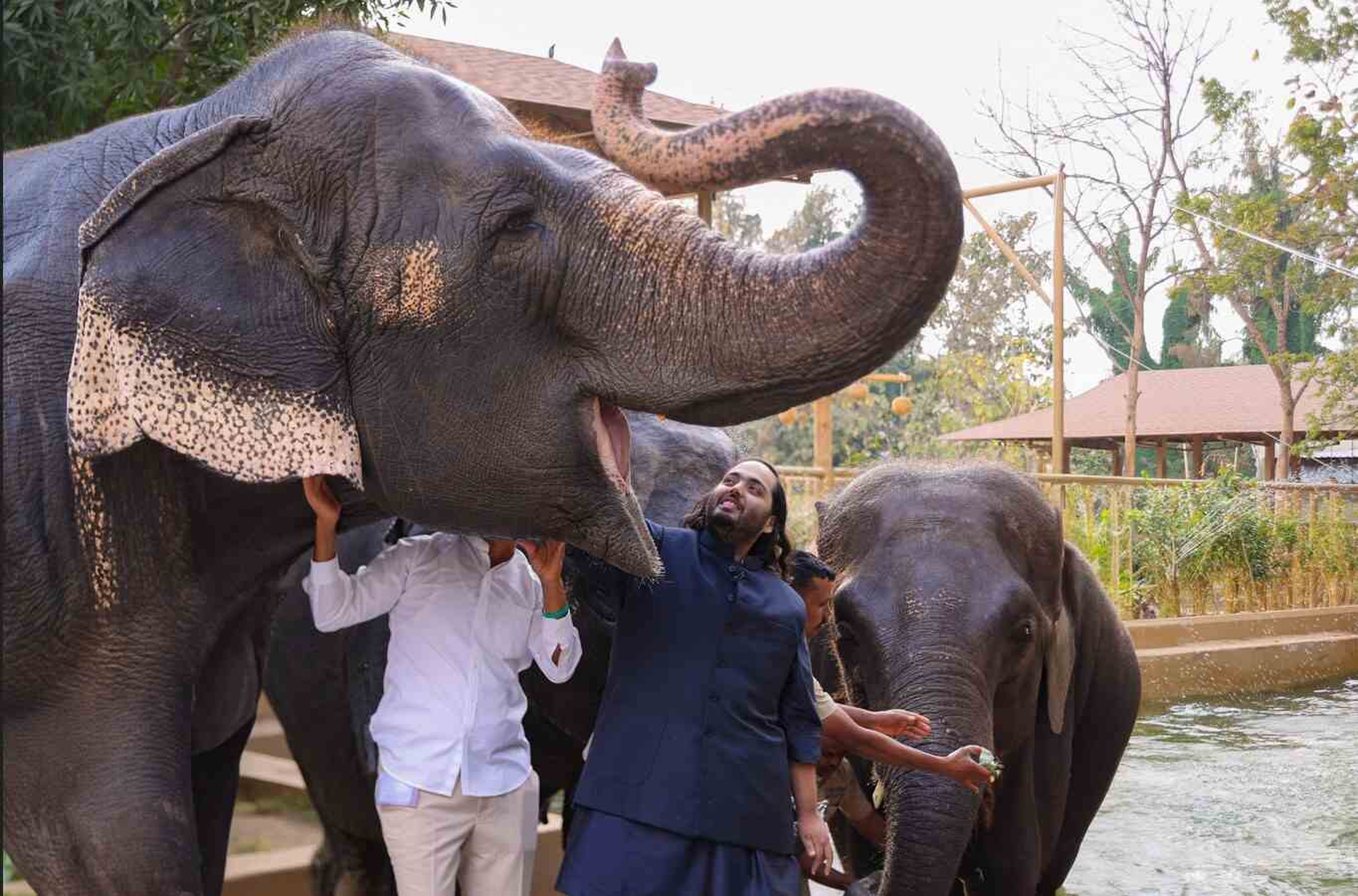 Anant Ambani at Vantara. Zoo in India. Photo: Handout