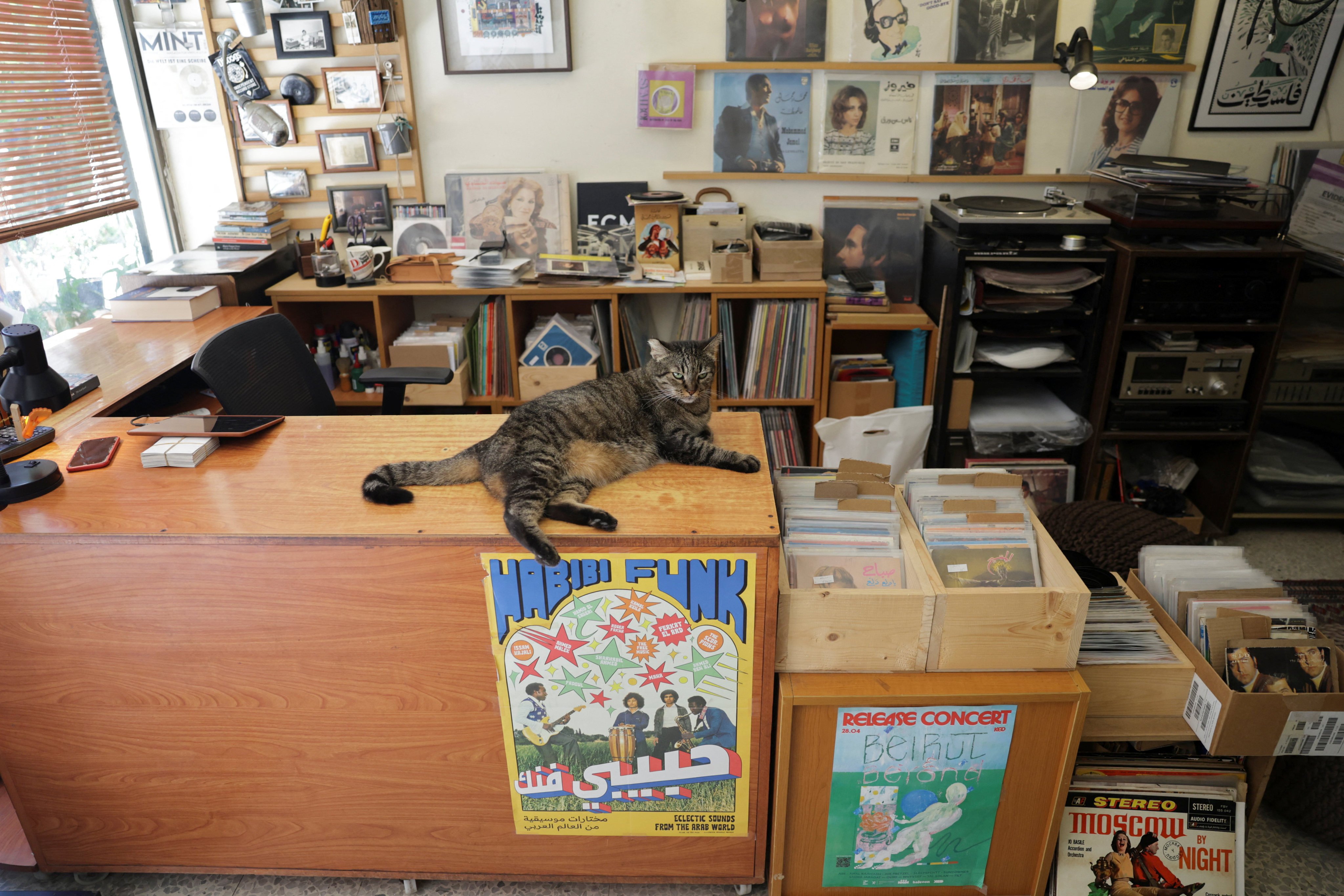 Chica the cat lazes on a table near vinyls at Chico Records in Beirut, Lebanon. Photo: Reuters