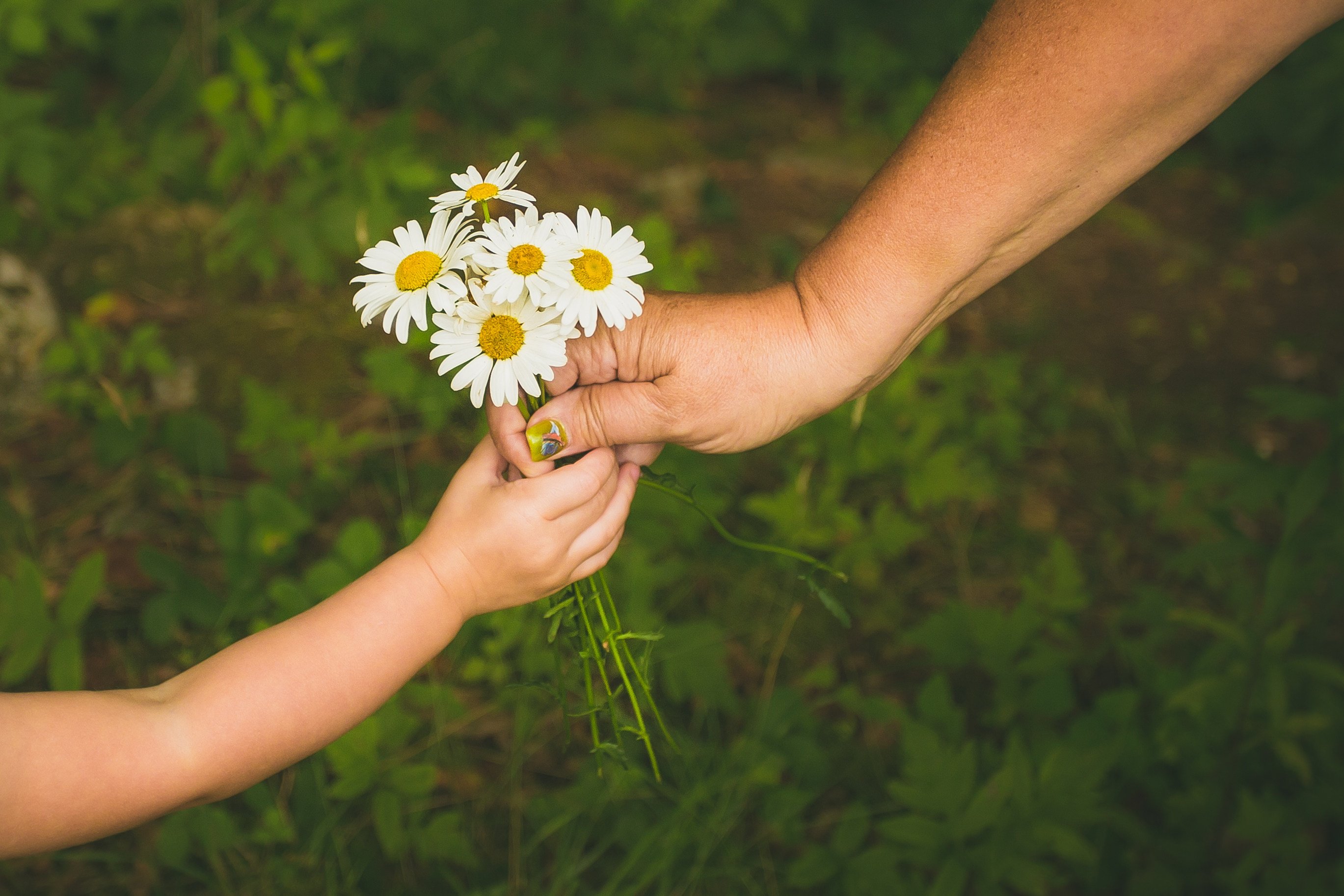 How can you lend a helping hand to others? Photo: Shutterstock