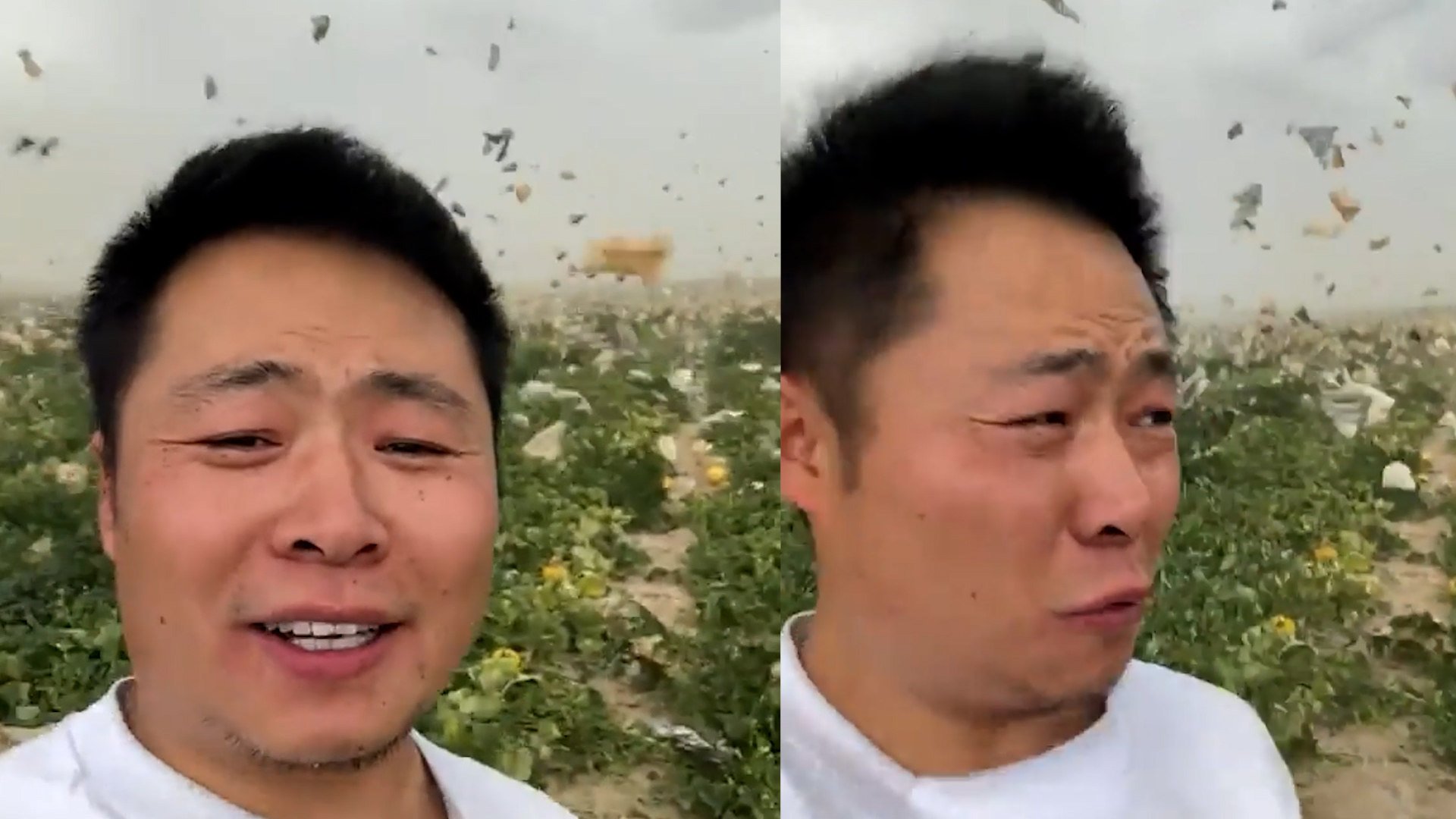 Sandstorm batters Chinese farm as live-streamer tries selling melons