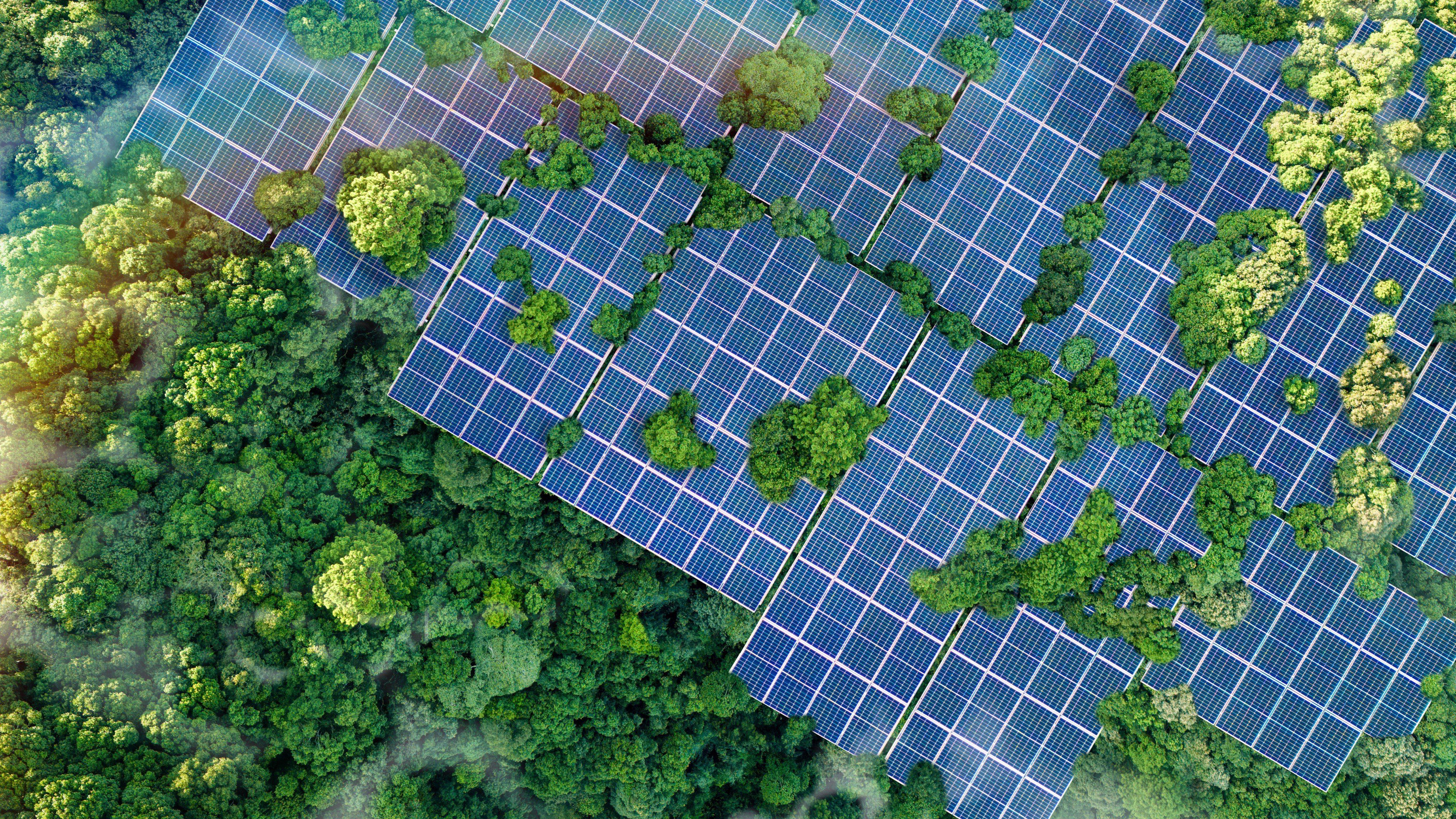 Asean’s green transition is accelerating as businesses adopt sustainable practices to meet ESG goals and stay competitive. Photo: Shutterstock