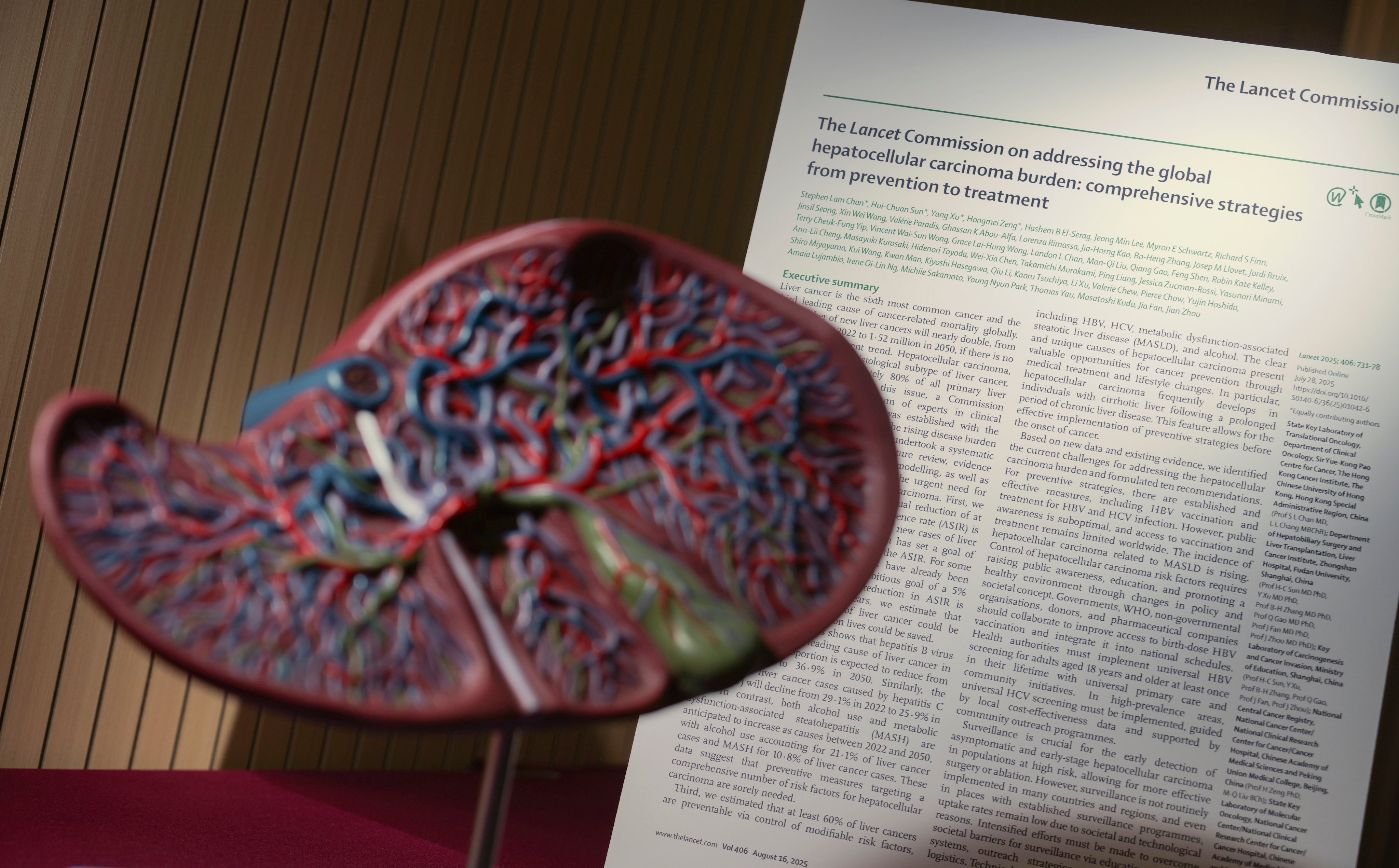 The Lancet Commission on liver cancer study found that by 2050, about one in three liver cancer cases will be caused by alcohol use and fatty liver, up from 26 per cent in 2022. Photo: May Tse
