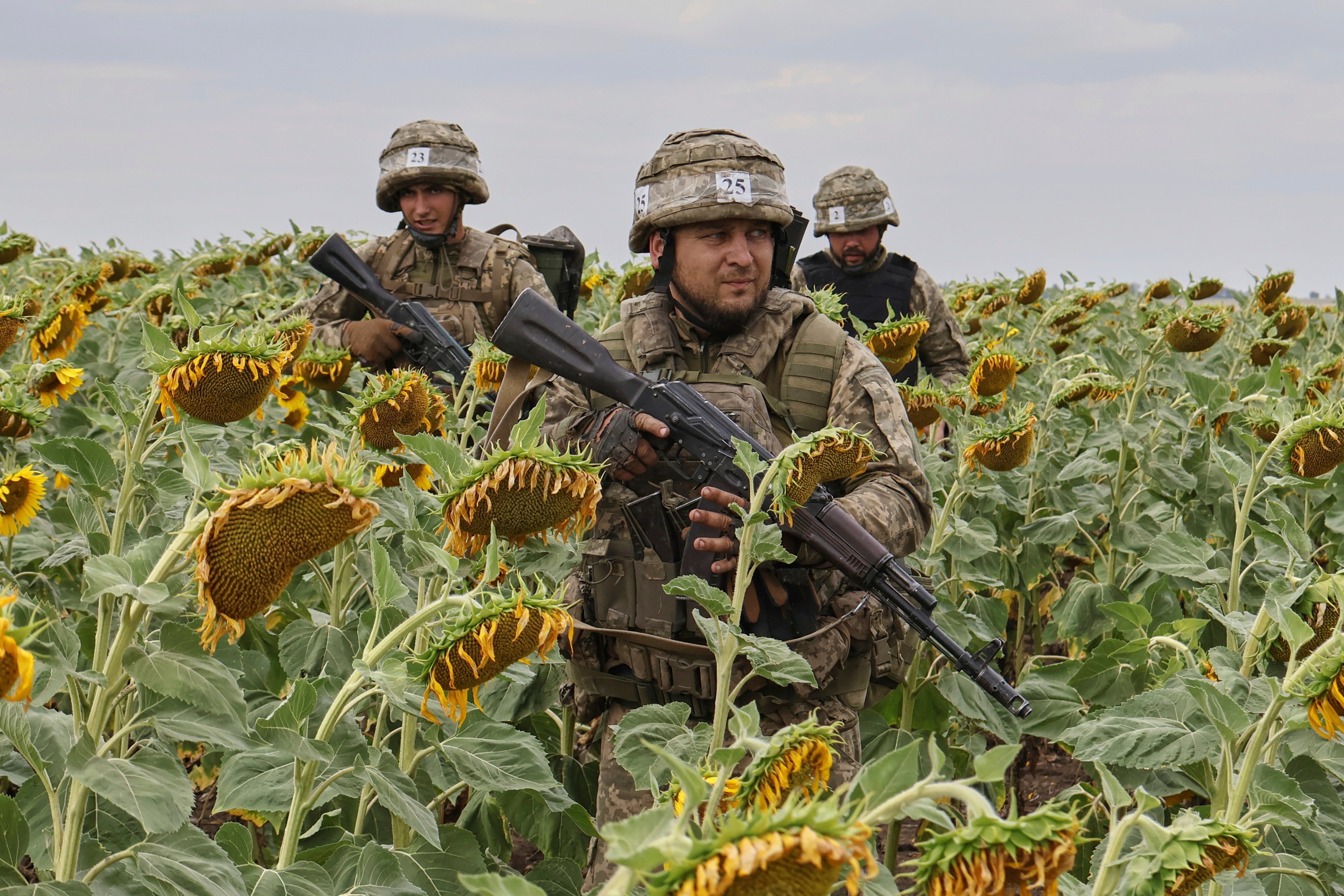 Ukrainian recruits training in a sunflower field in the Zaporizhzhia region, Ukraine. Photo: Ukraine’s 65th Mechanized Brigade via AP