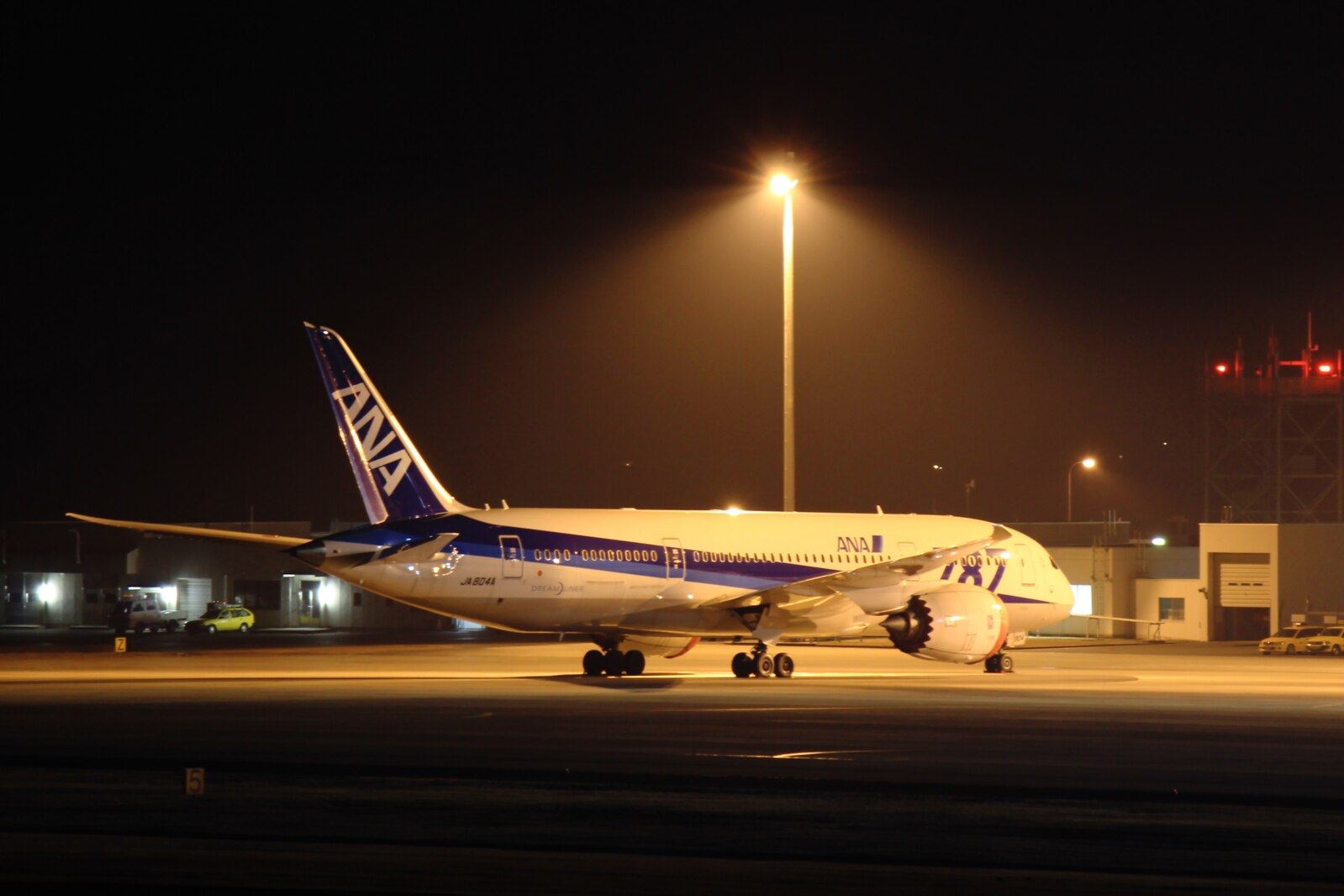 An ANA Boeing 787 at Takamatsu Airport in Kagawa prefecture in 2013. Photo: YMNS8024 / CC BY-SA 3.0