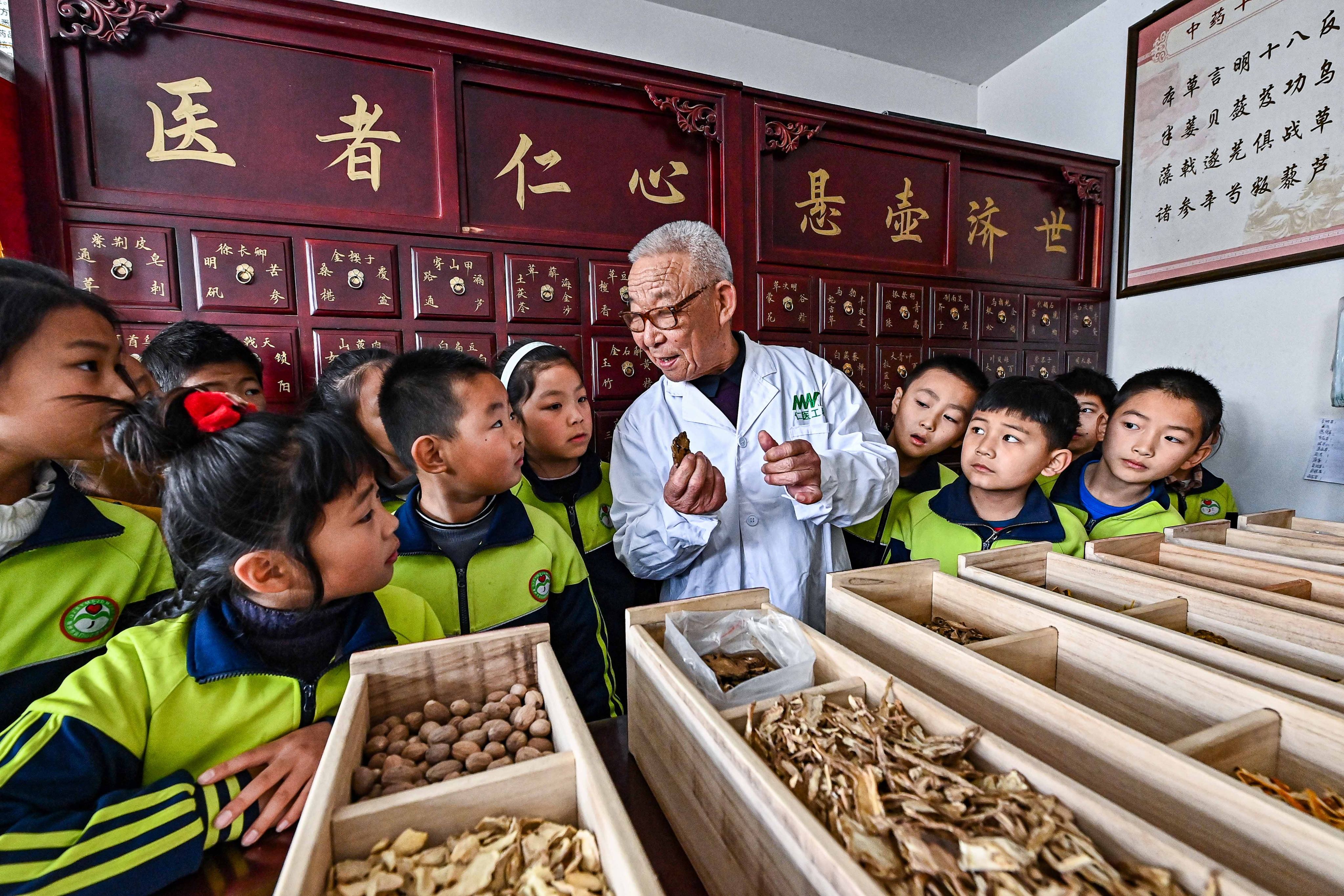 A pharmacist teaches students to recognise traditional Chinese medicine ingredients in Qingzhou, Shandong. Photo: VCG via Getty Images