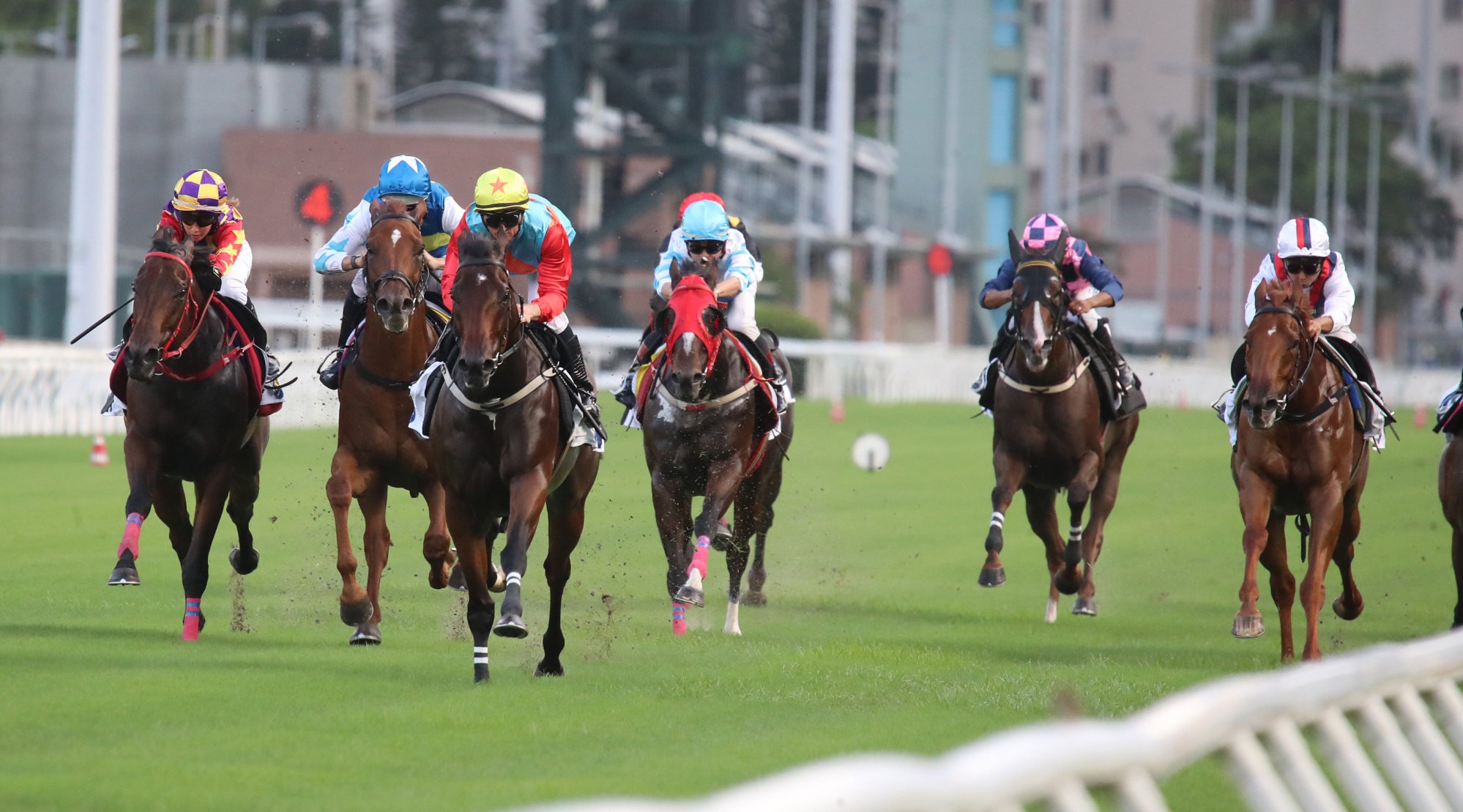 Ka Ying Rising leaves some smart rivals trailing in his wake in a Sha Tin barrier trial.