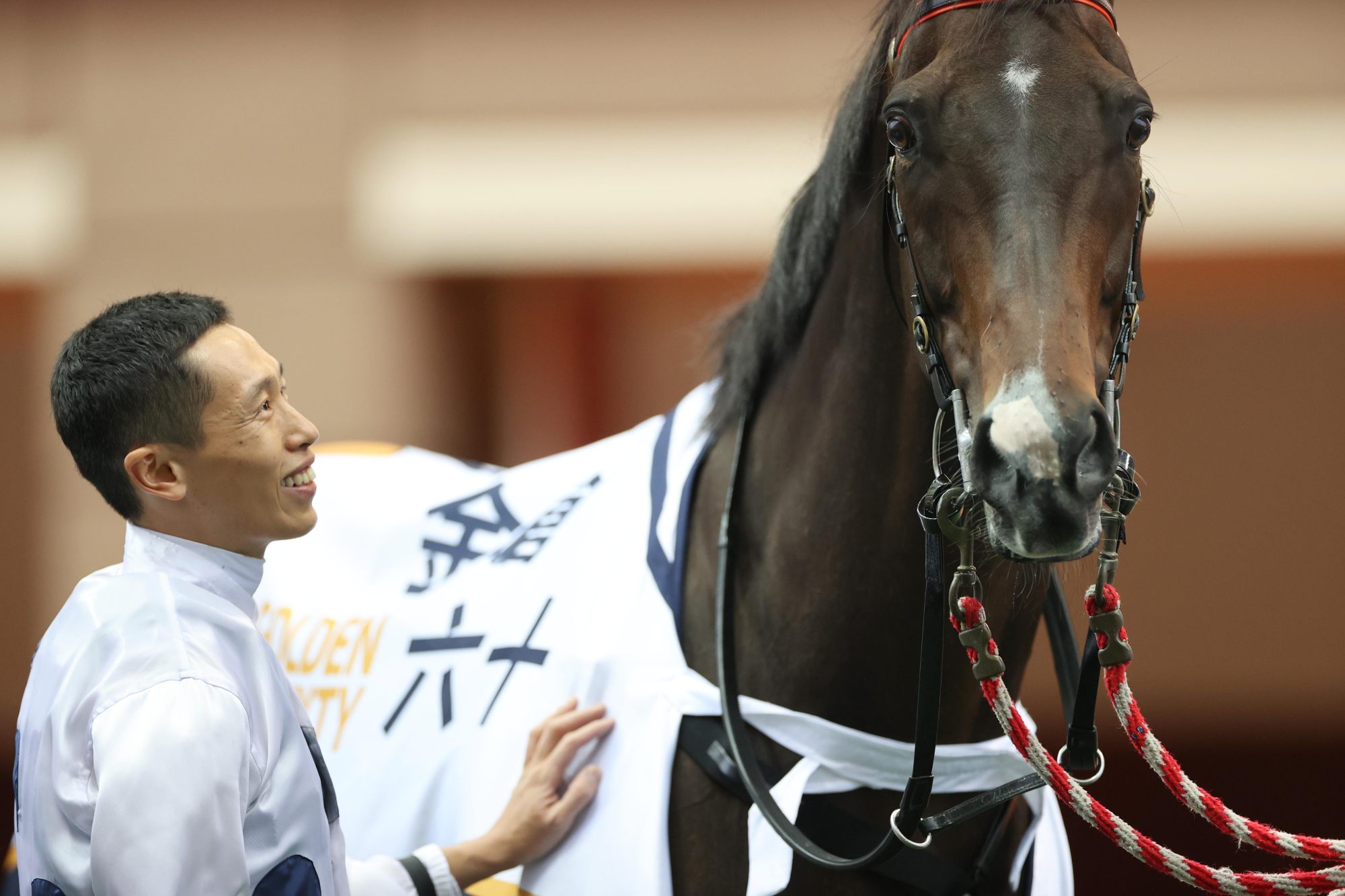 Vincent Ho built up a special partnership with the horse of a lifetime, Golden Sixty.