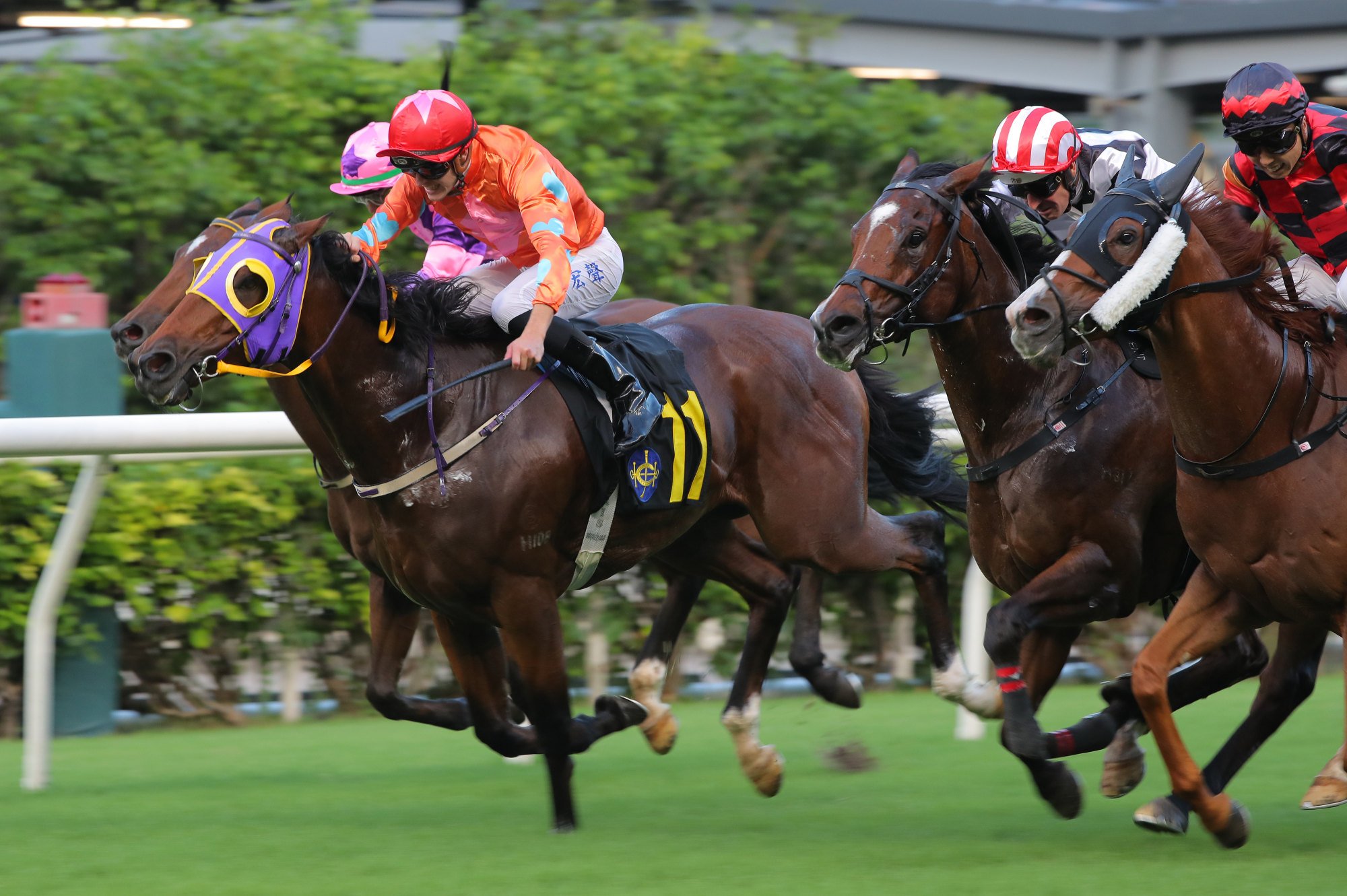 Speedy Smartie wins at Happy Valley in July.