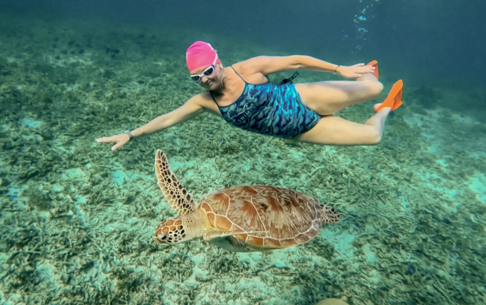 Swimming around Indonesia’s Gili Islands, home to corals and Hawksbill turtles. Photo: All Blue Swim Tours
