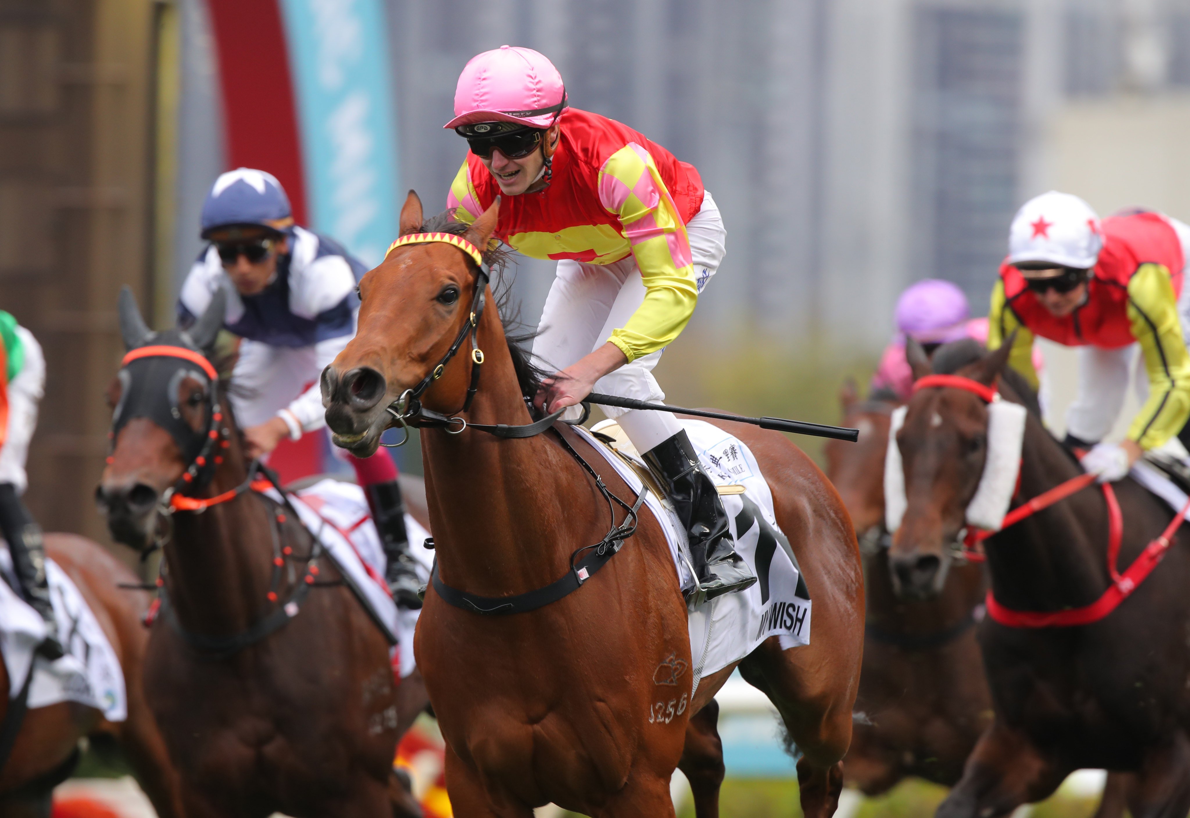 Can Classic Mile winner My Wish make the leap to Group One victor this season? Photos: Kenneth Chan