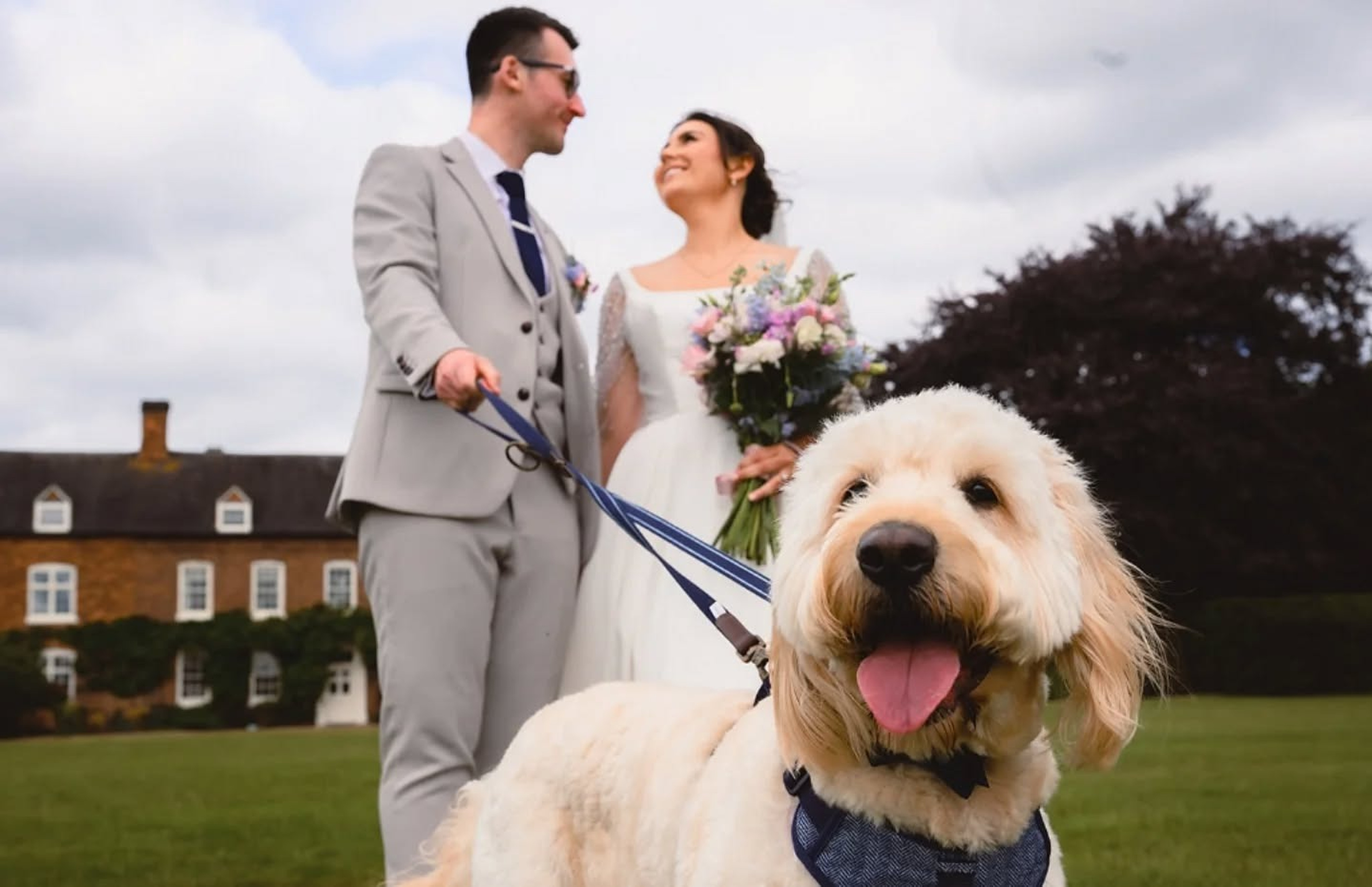 As pet owners increasingly pamper their canine companions with luxuries such as holiday gifts and private dog-park outings, it is no surprise that animals are also being included in milestone moments. Photo: Facebook/Waggy Wedding Events
