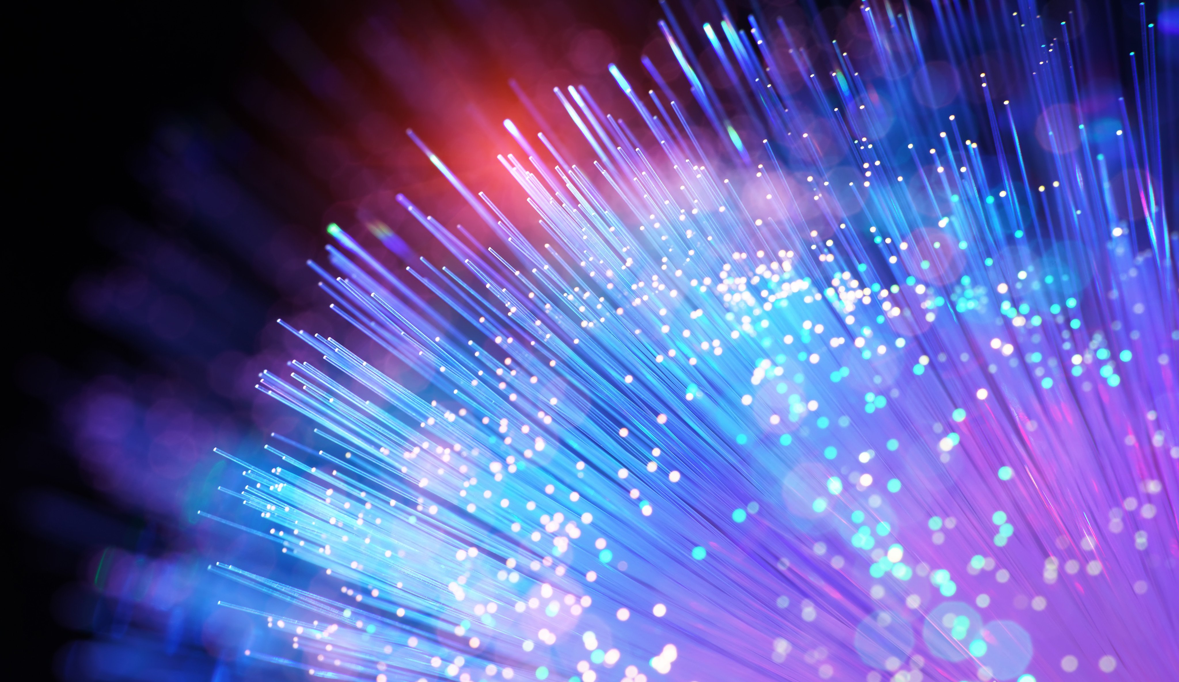 China has slapped American fibre-optic firms with anti-dumping tariffs. Photo: Shutterstock