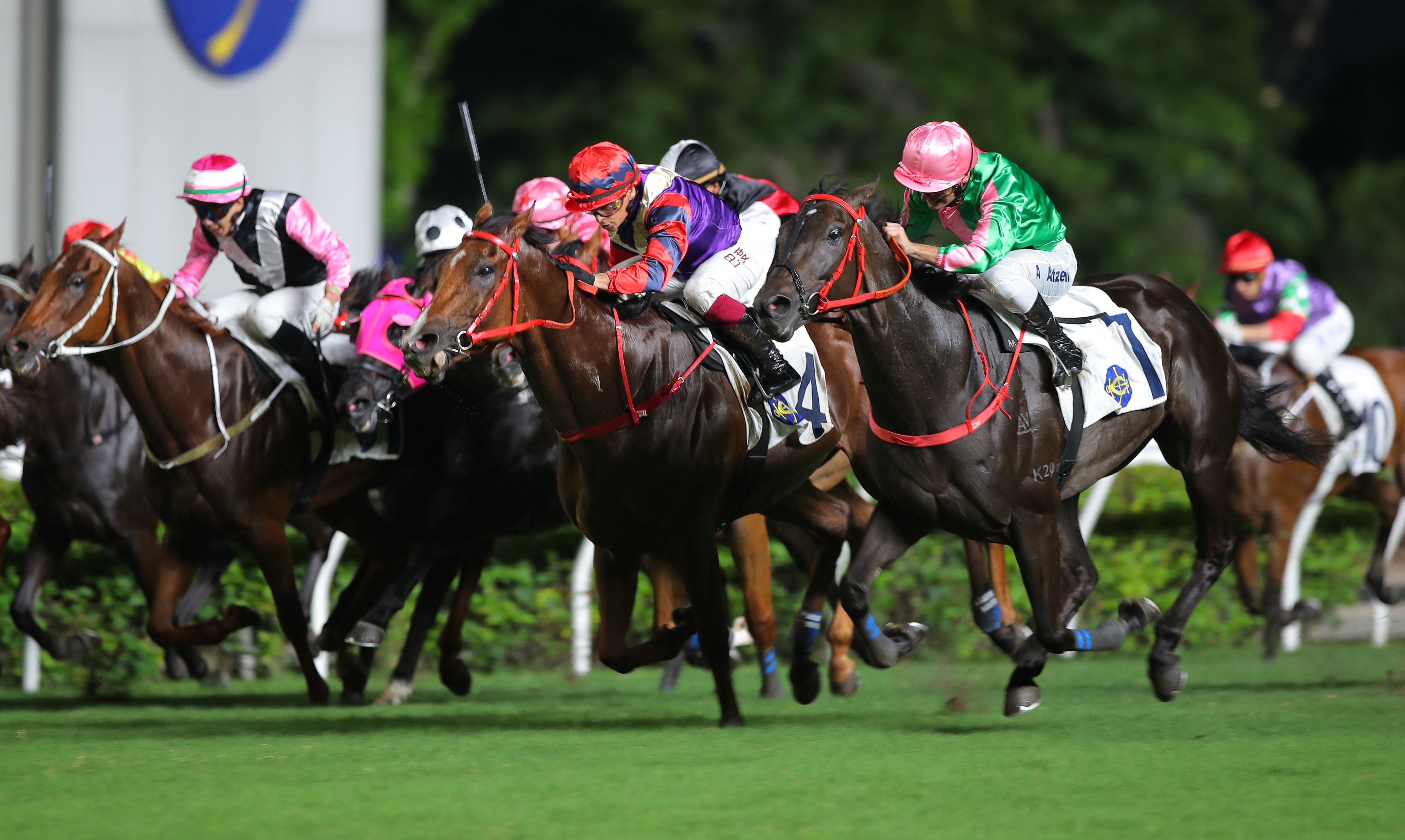 Horses battle out a finish at Sha Tin last season. Photos: Kenneth Chan