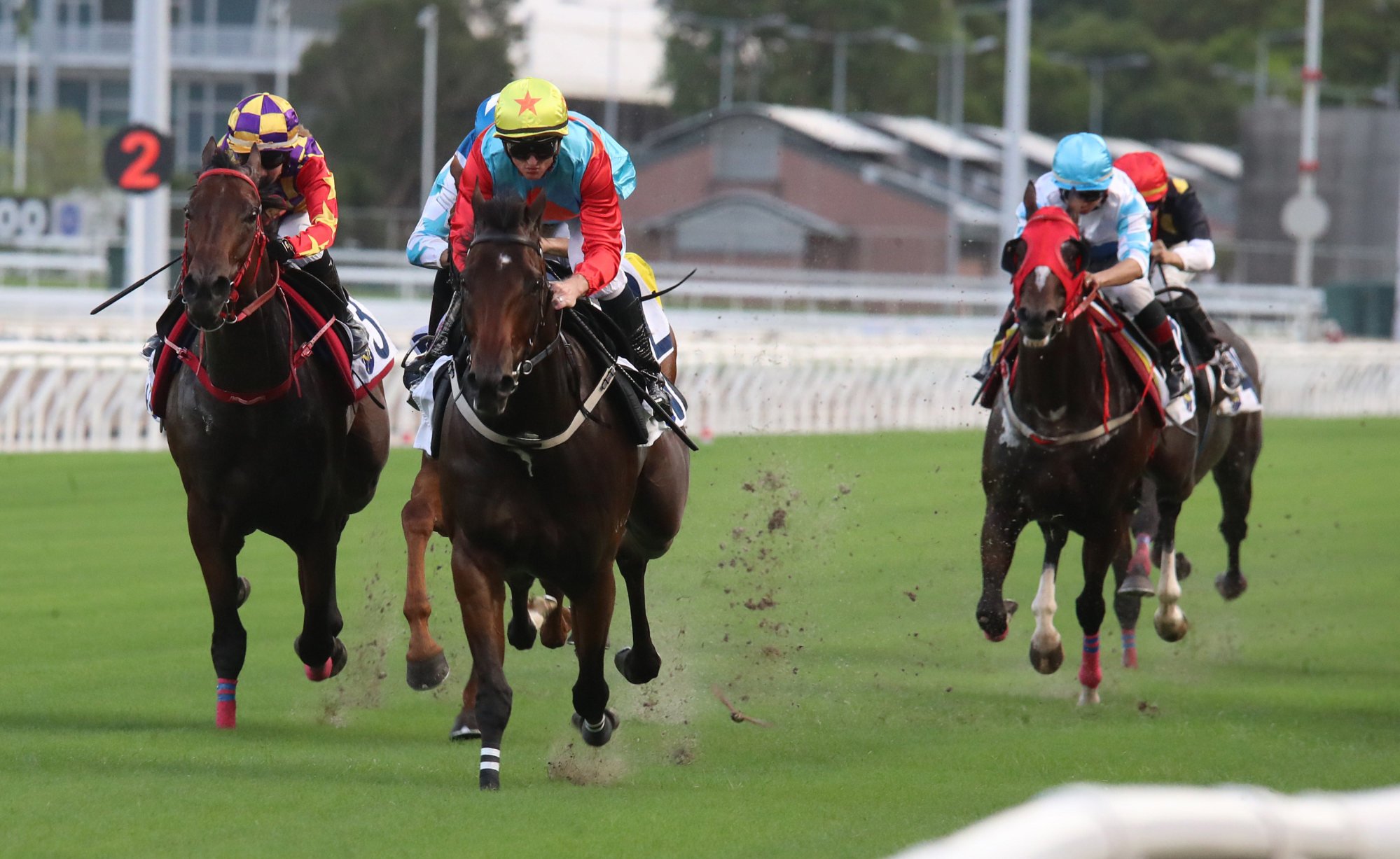 Ka Ying Rising surges clear to win a Sha Tin turf trial last week.