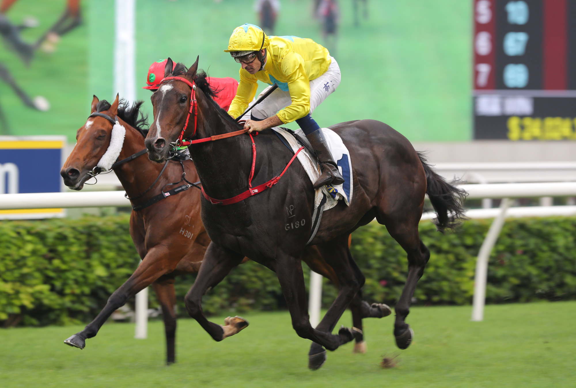 Lucky Sweynesse wins last year’s Sprint Cup.