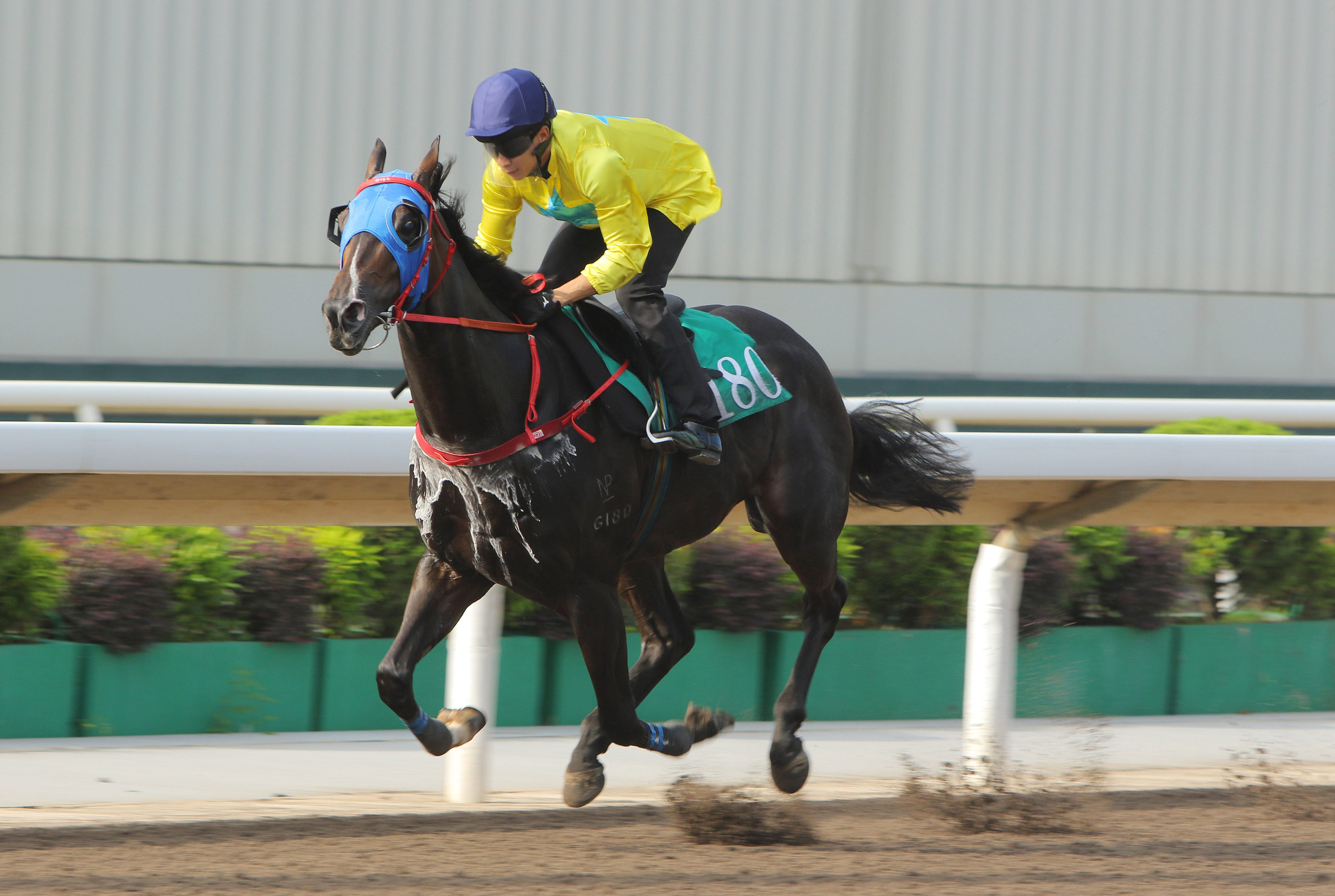 Derek Leung guides Lucky Sweynesse to victory in a trial in July. Photos: Kenneth Chan