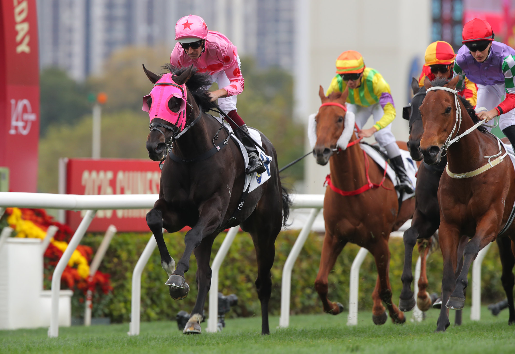 Chancheng Glory wins the Centenary Vase in January. Chancheng Glory wins the Centenary Vase in January.