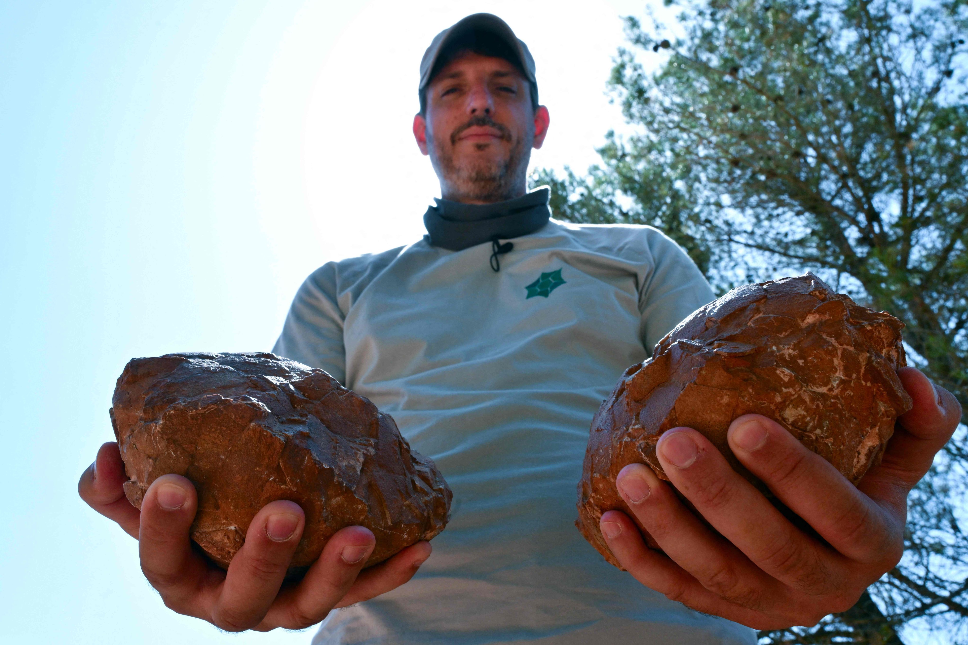 Thierry Tortosa, paleontologist and curator of the Sainte-Victoire national reserve, shows off dinosaur eggs found at the Mount Sainte-Victoire site near Aix-en-Provence in southern France. Photo: AFP