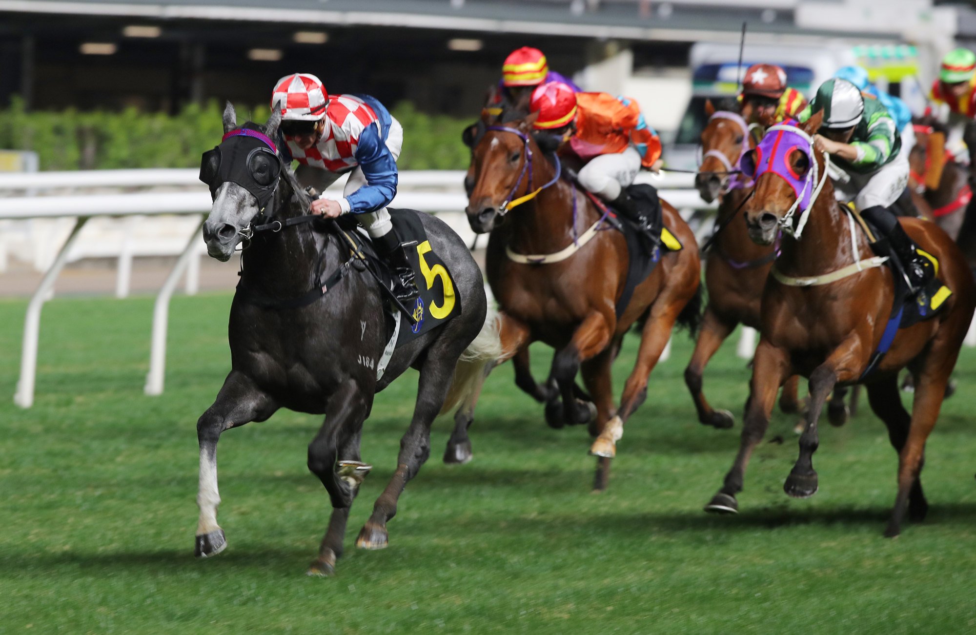 Zac Purton boots home Super Charizzard on Boxing Day.