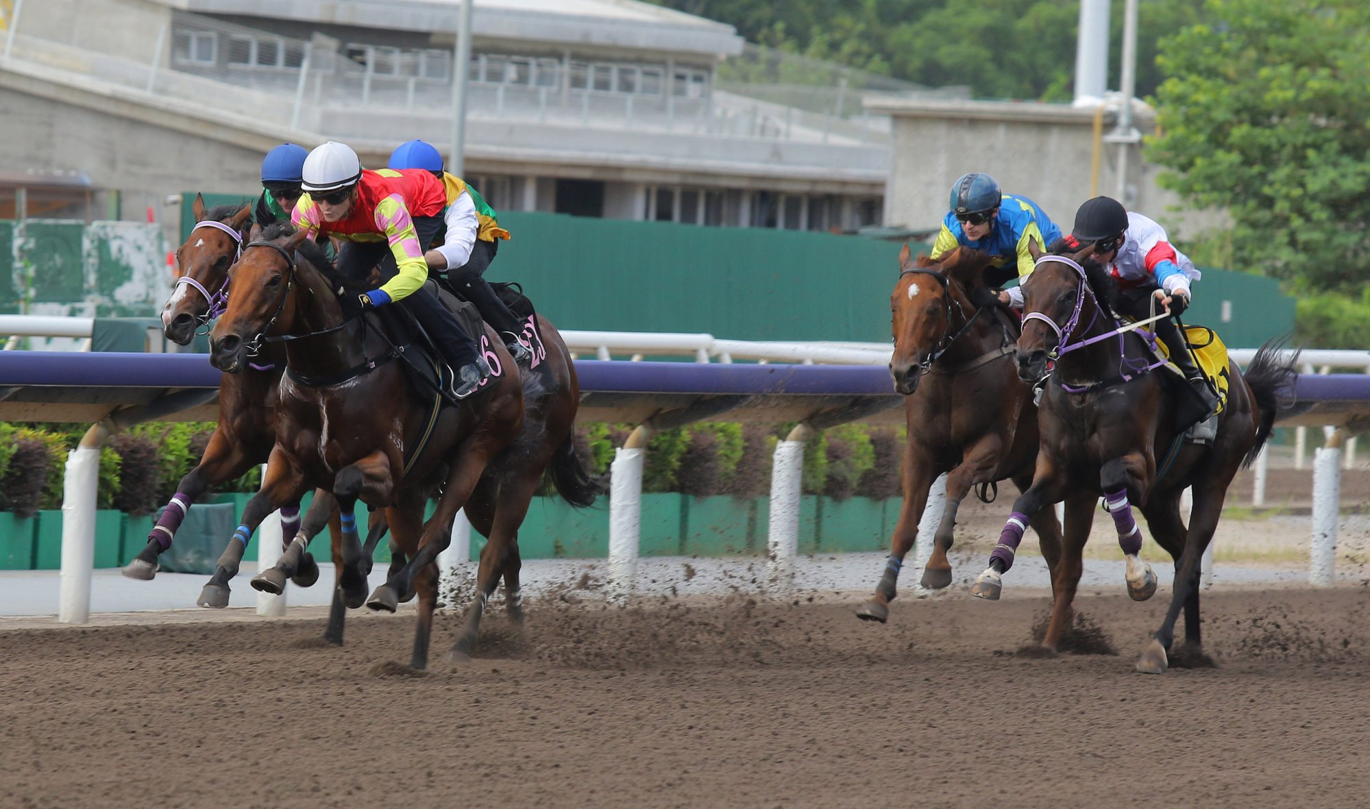 My Wish wins a dirt trial under Luke Ferraris last week.