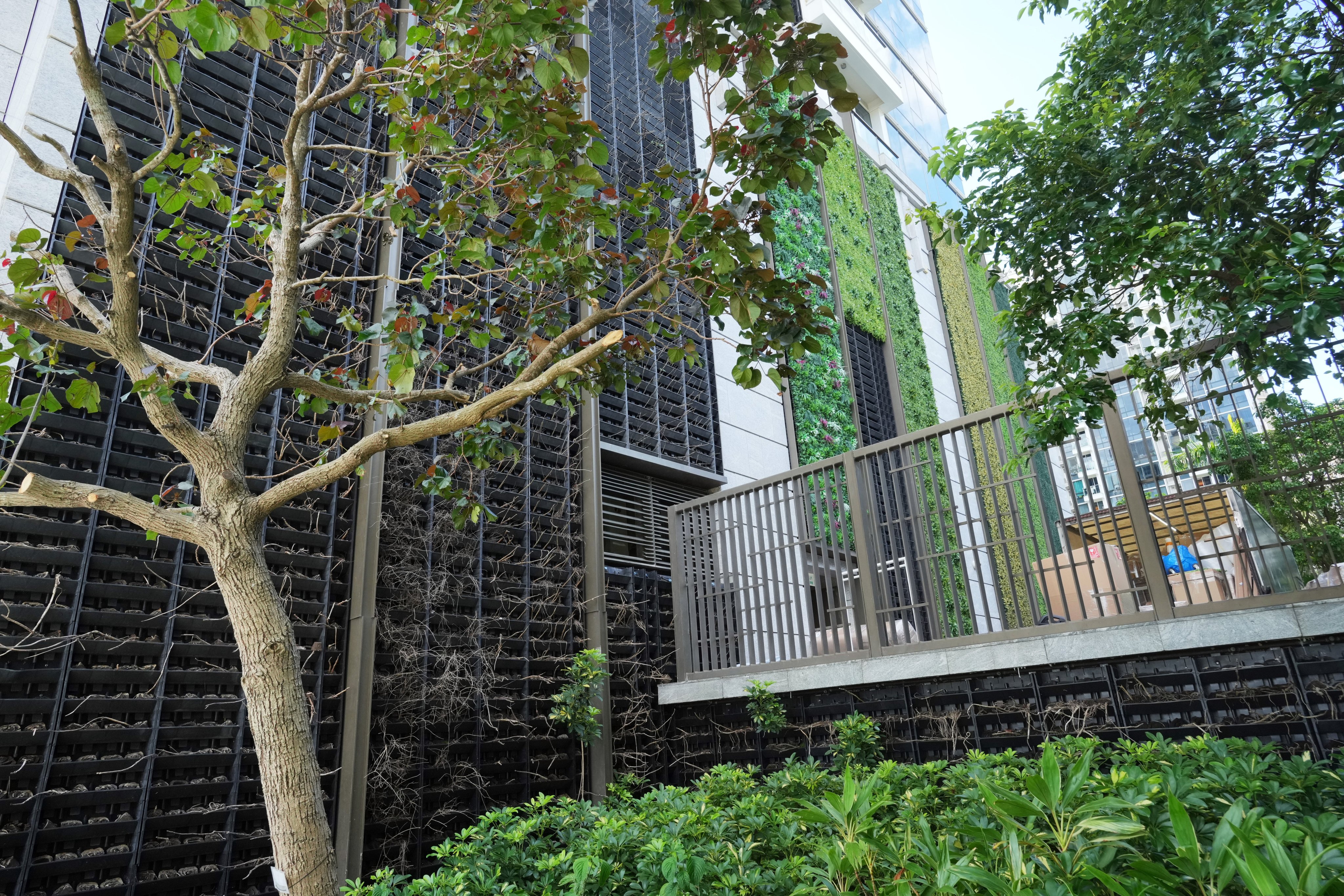 Vertical greening in a private residential development in Tseung Kwan O on August 27, 2025. Photo: May Tse