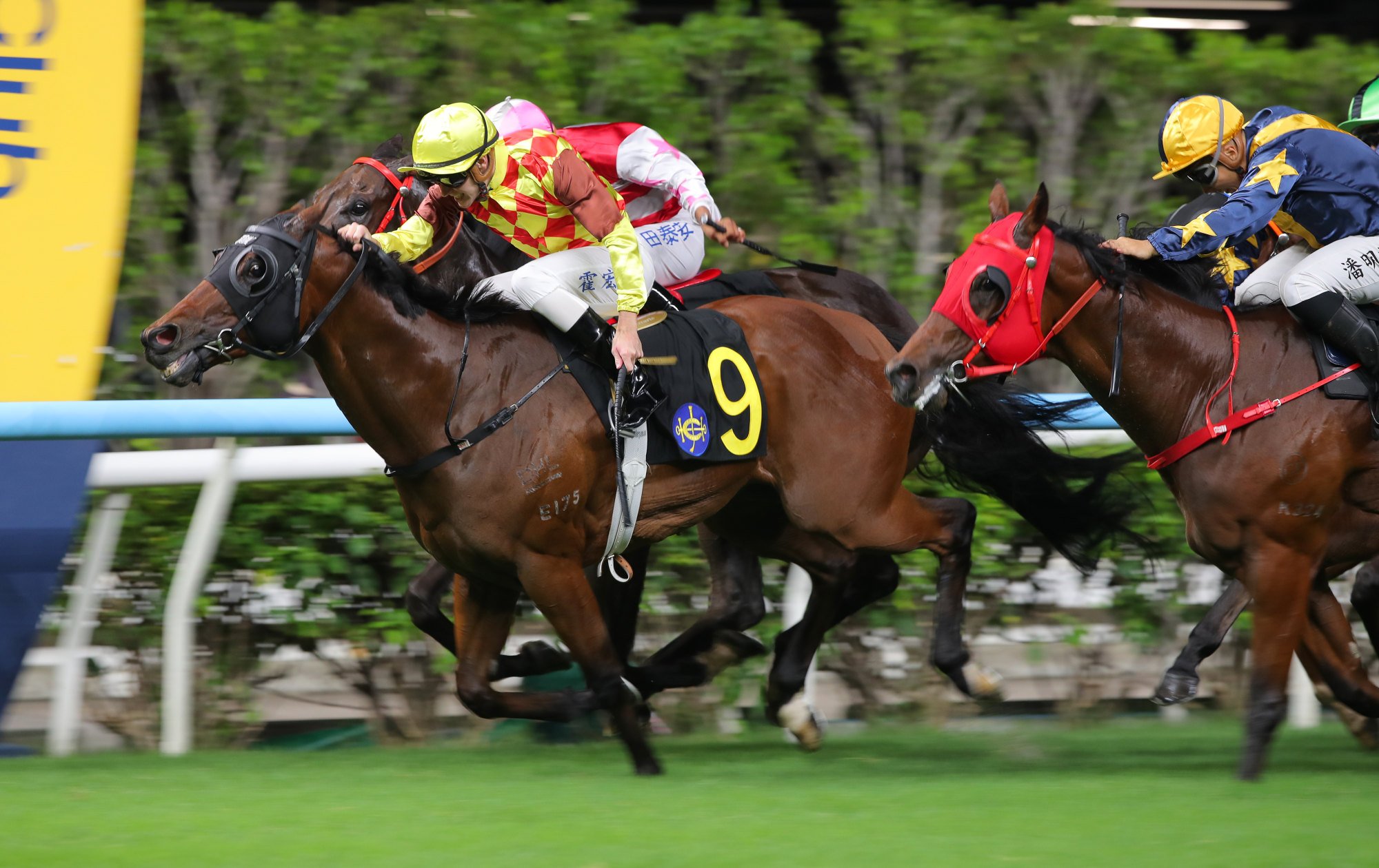 Luke Ferraris guides Harmony Fire to a narrow win. Luke Ferraris guides Harmony Fire to a narrow win.