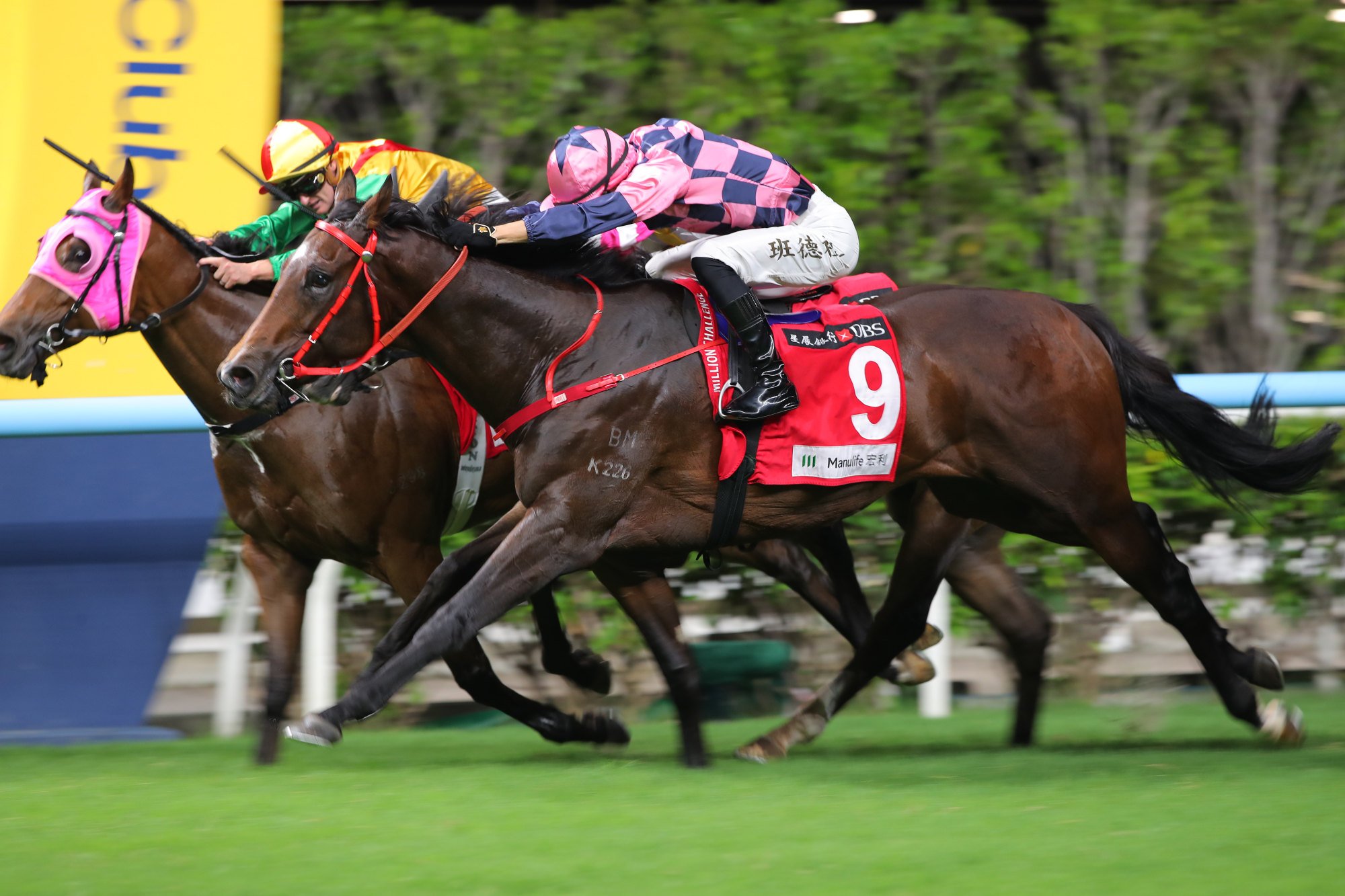 Wrote A New Page gets up late on the outside of Highland Rahy to score. Wrote A New Page gets up late on the outside of Highland Rahy to score.