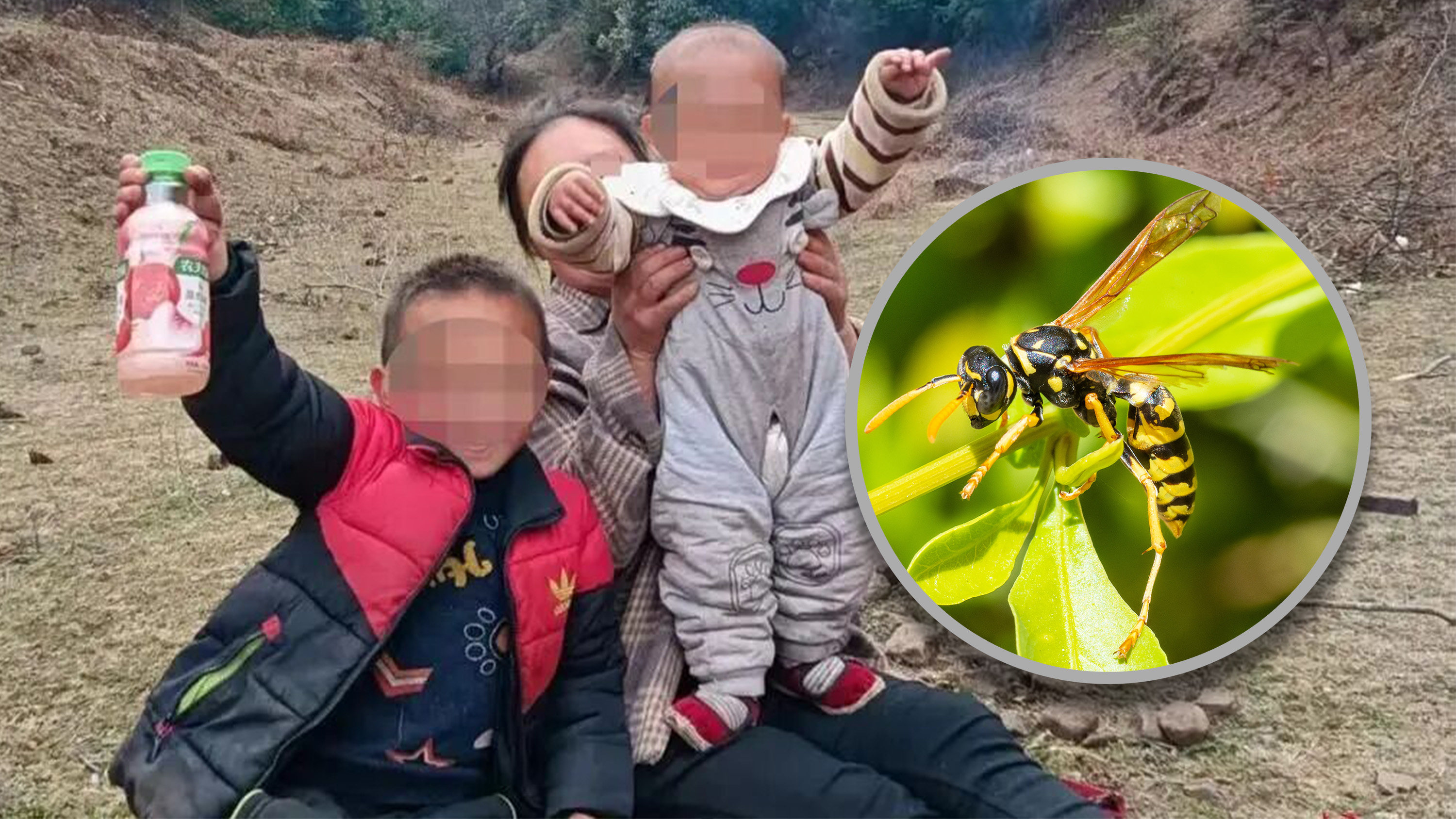 A seven-year-old boy and his two-year-old sister were stung to death by wasps in Yunnan. Photo: SCMP composite/Shutterstock/Jimu