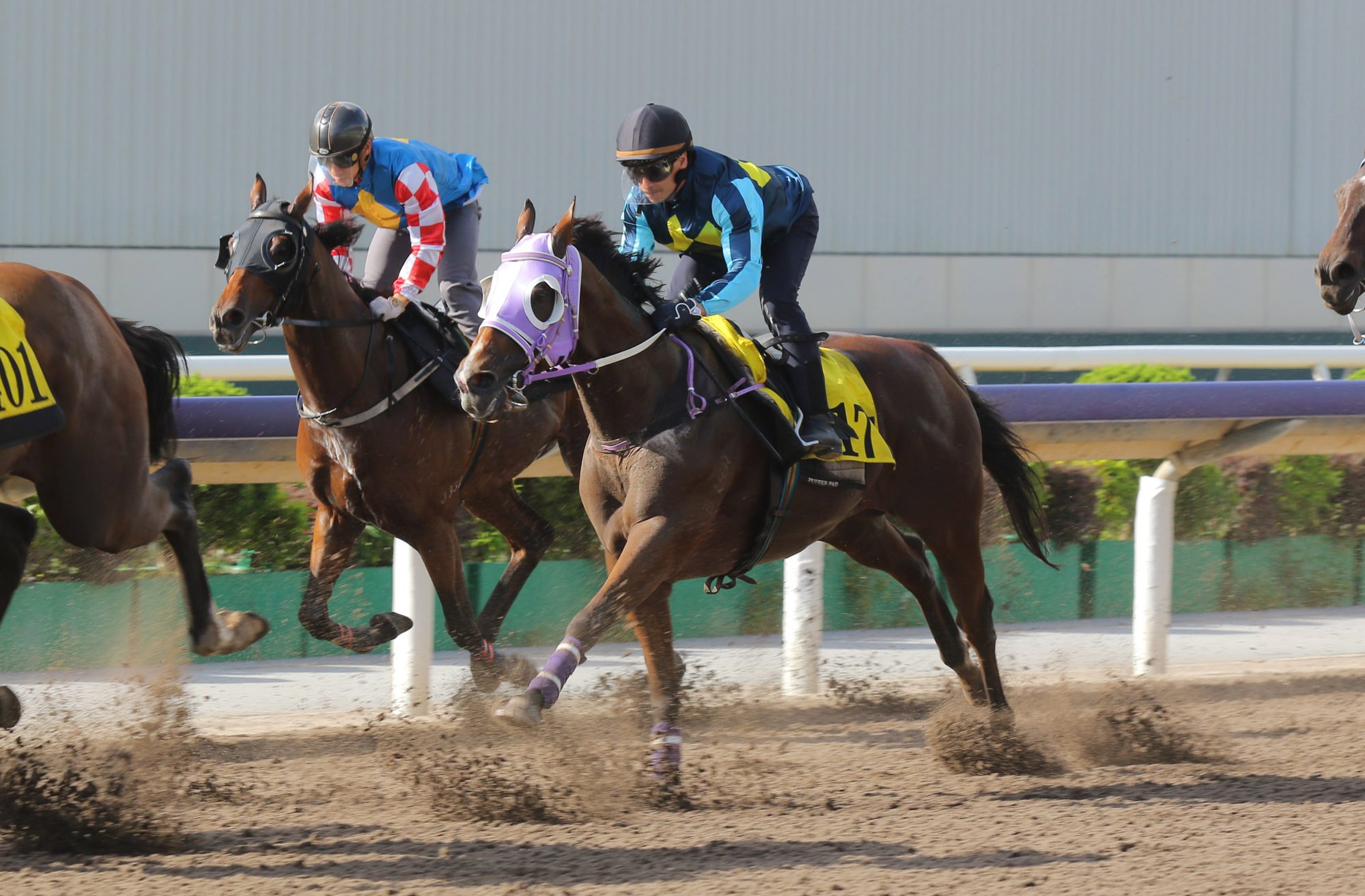 Master Of All in action in a dirt trial on September 2.