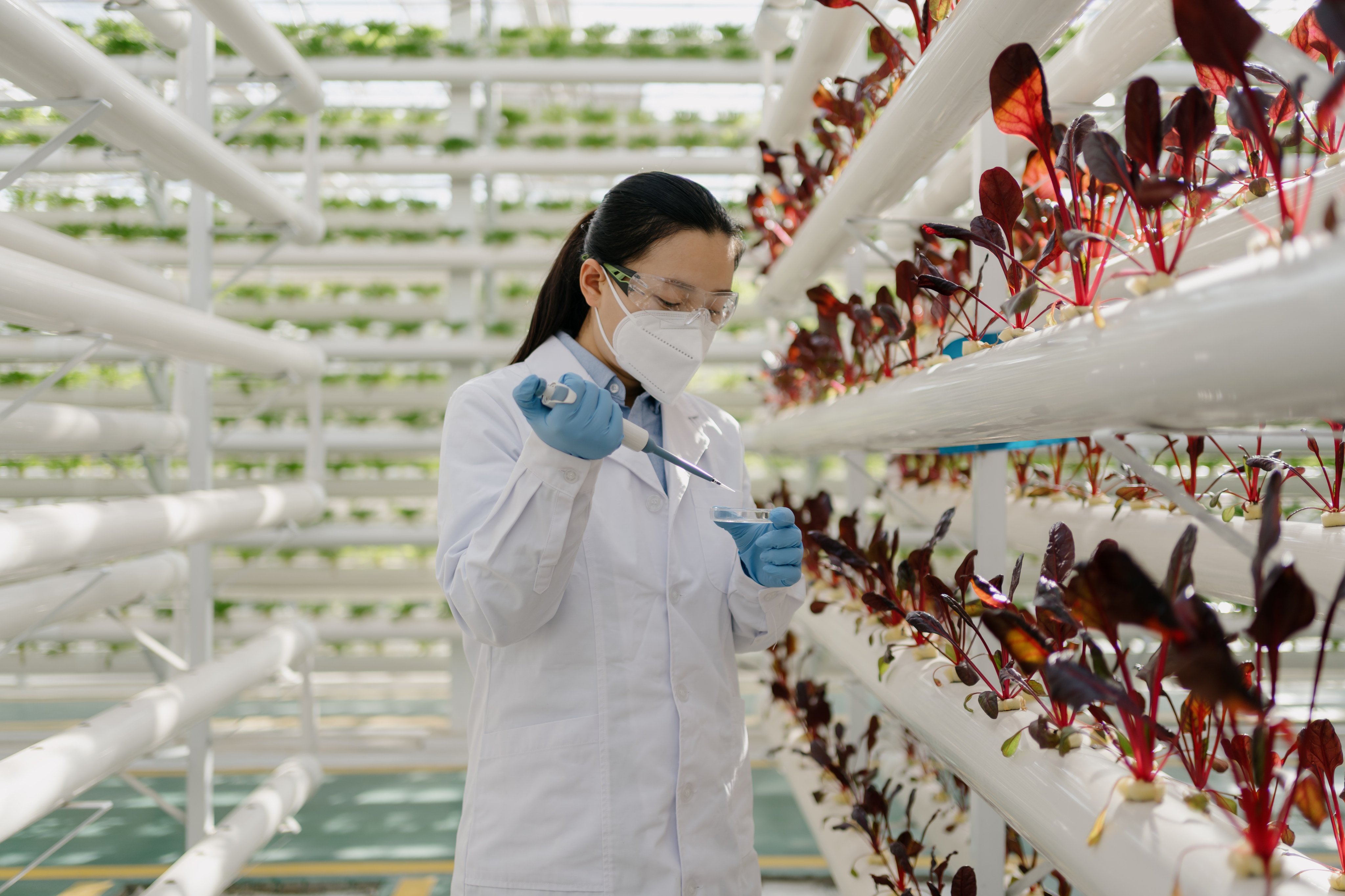 Shanghai’s new subsidy for recent mothers employed as researchers is intended to promote scientific innovation as well as an increase in birth rates. Photo: Getty Images