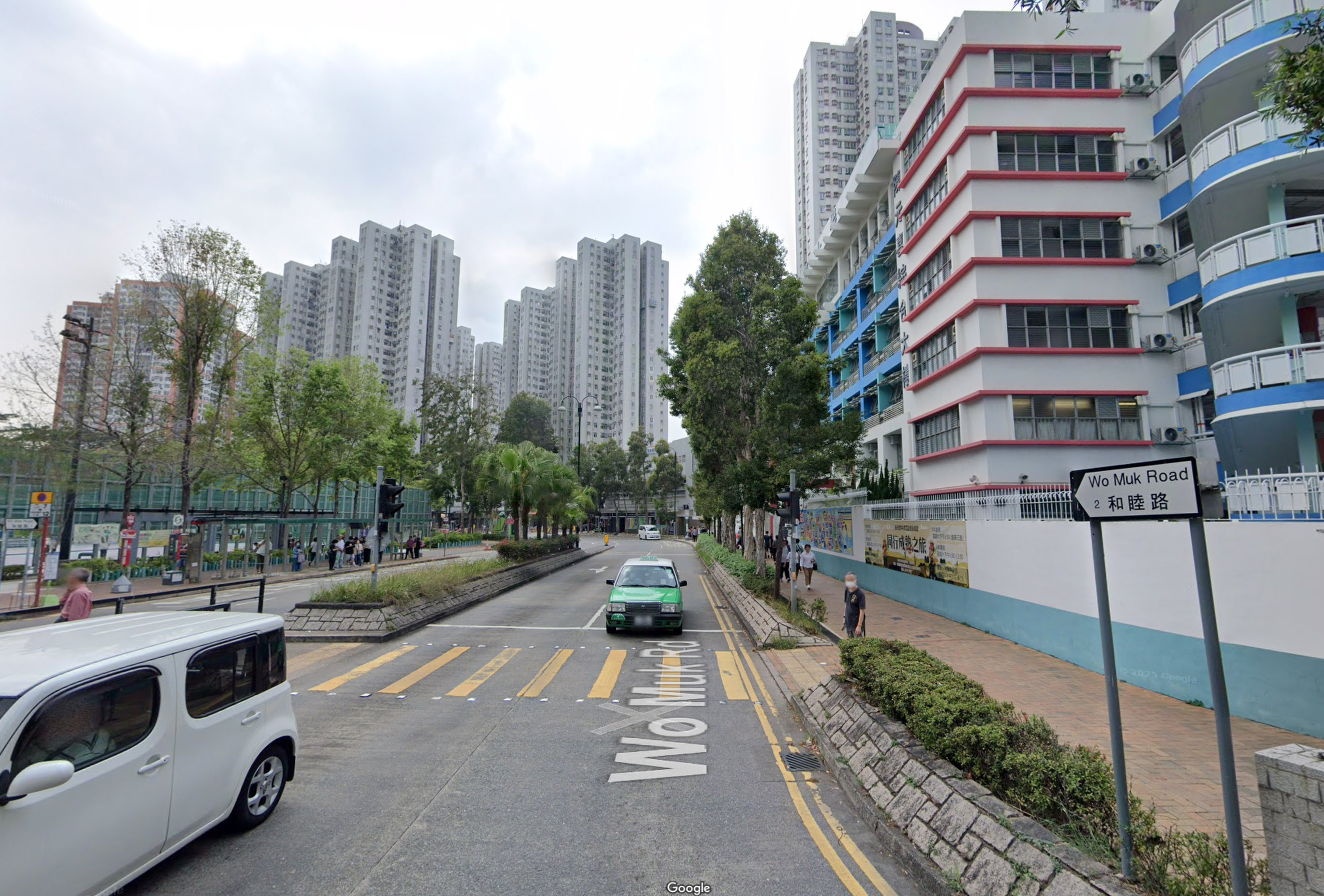The incident happened at a school on Wo Muk Road in Fanling. Photo: Google Maps