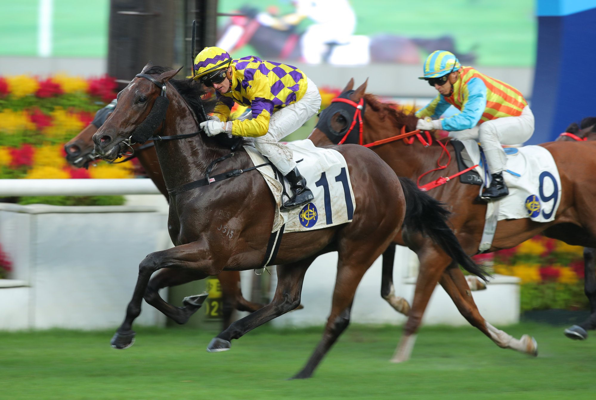 Groovy Feeling delivers under Zac Purton at Sha Tin last weekend.
