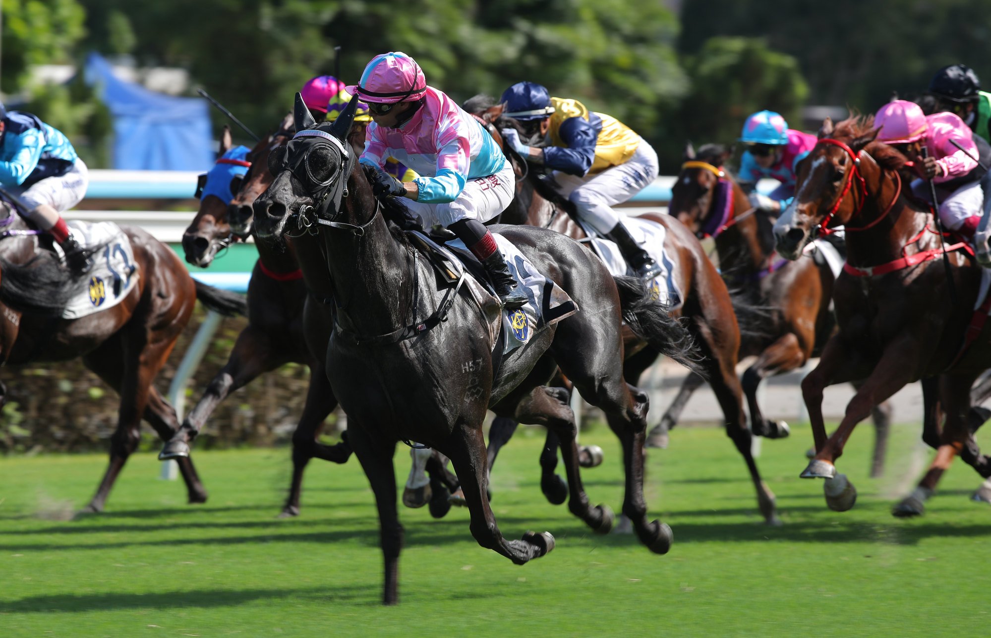 Same To You soars home under Alexis Badel.