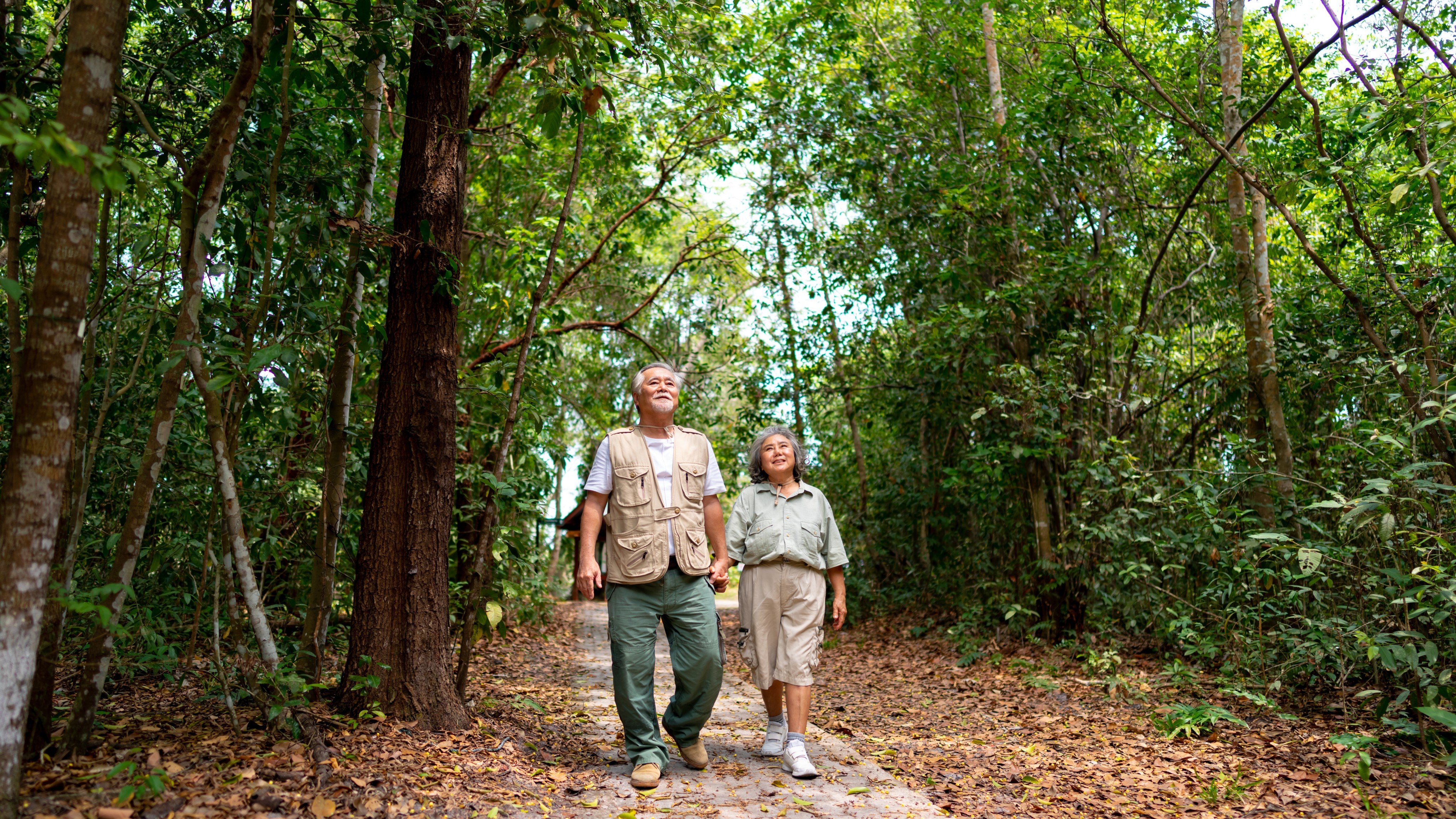 Combining physical exercise, cognitive training and lifestyle changes can boost brain health and resilience against dementia in later life, research suggests. Photo: Shutterstock