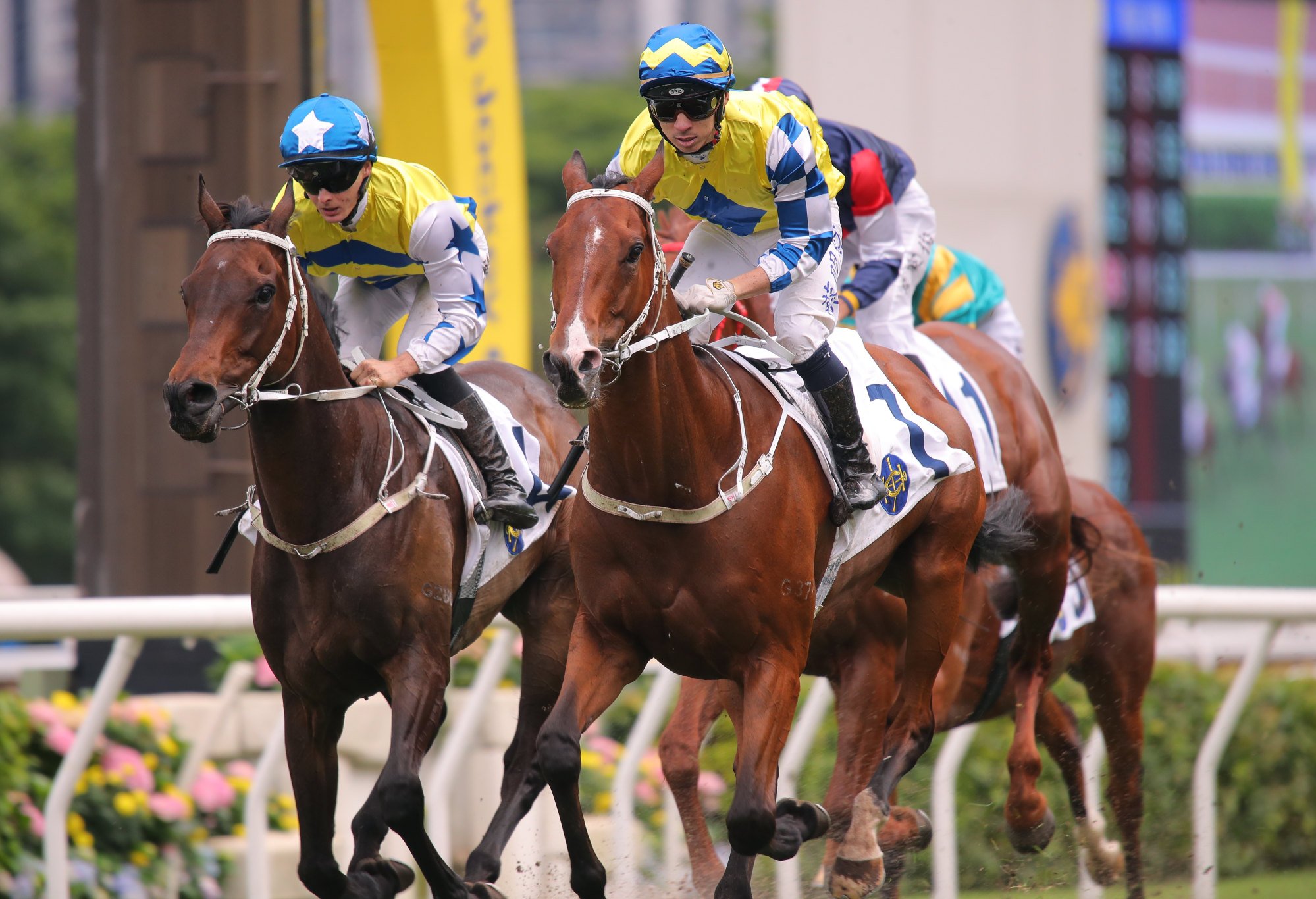 La City Blanche (outside) wins last year’s Group Three Queen Mother Memorial Cup.