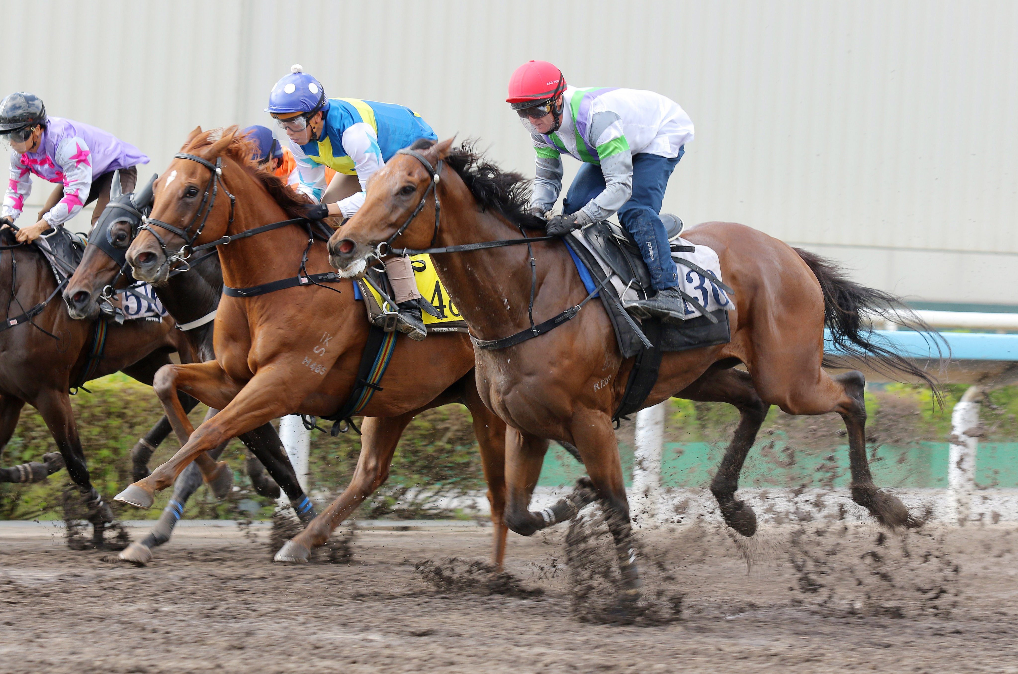 Light Years Charm (right) wins his trial at Sha Tin on Tuesday morning. Photos: Kenneth Chan