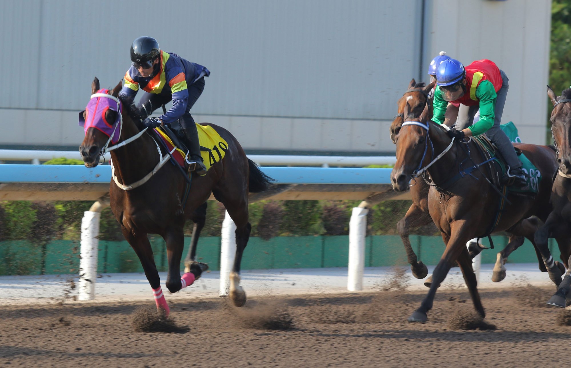 Californiatotality finishes fourth in a recent dirt trial.