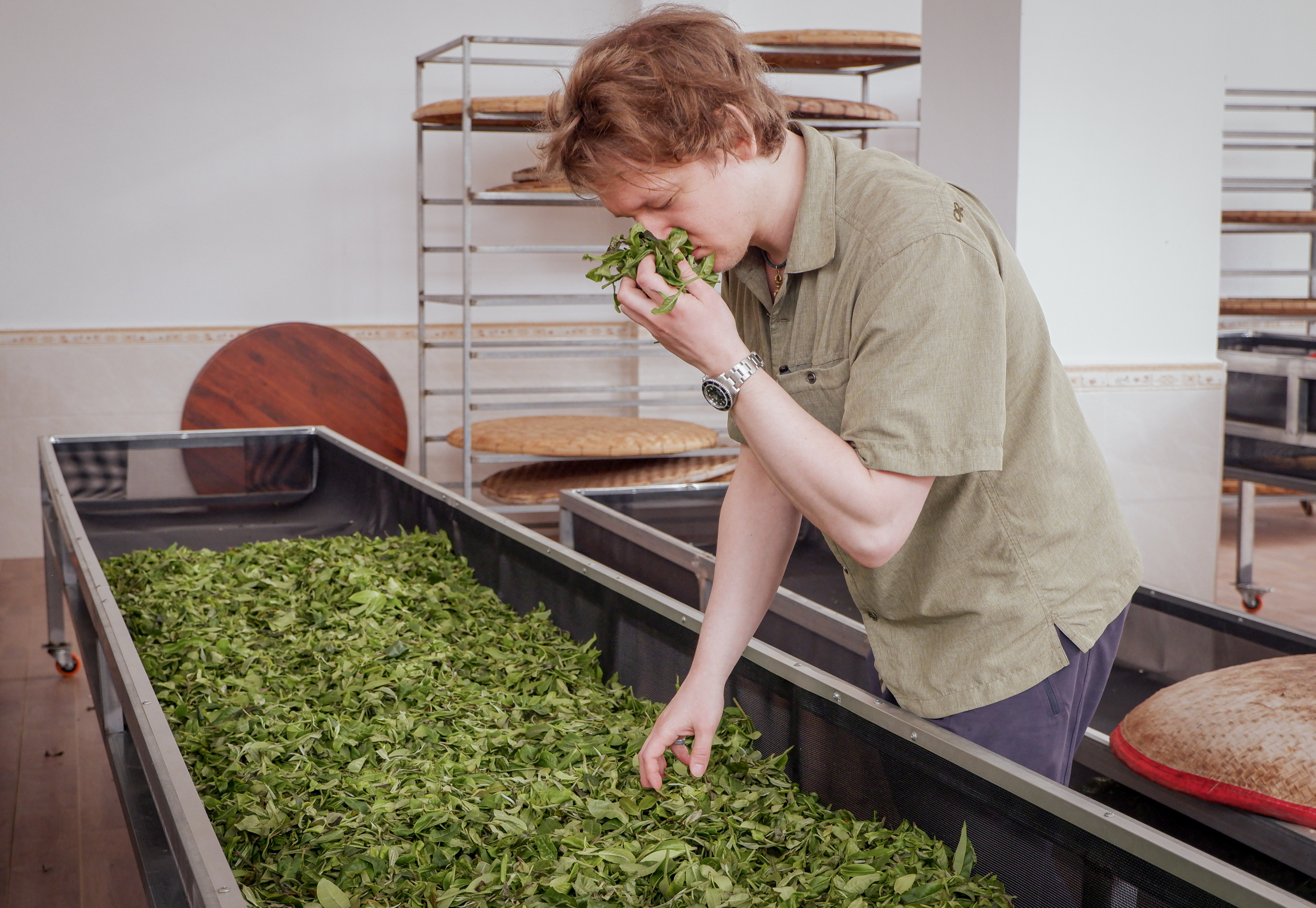 Jason Cohen takes in the aroma of Sheng Puer tea in Yiwu, Yunnan province. Photo: courtesy Jason Cohen